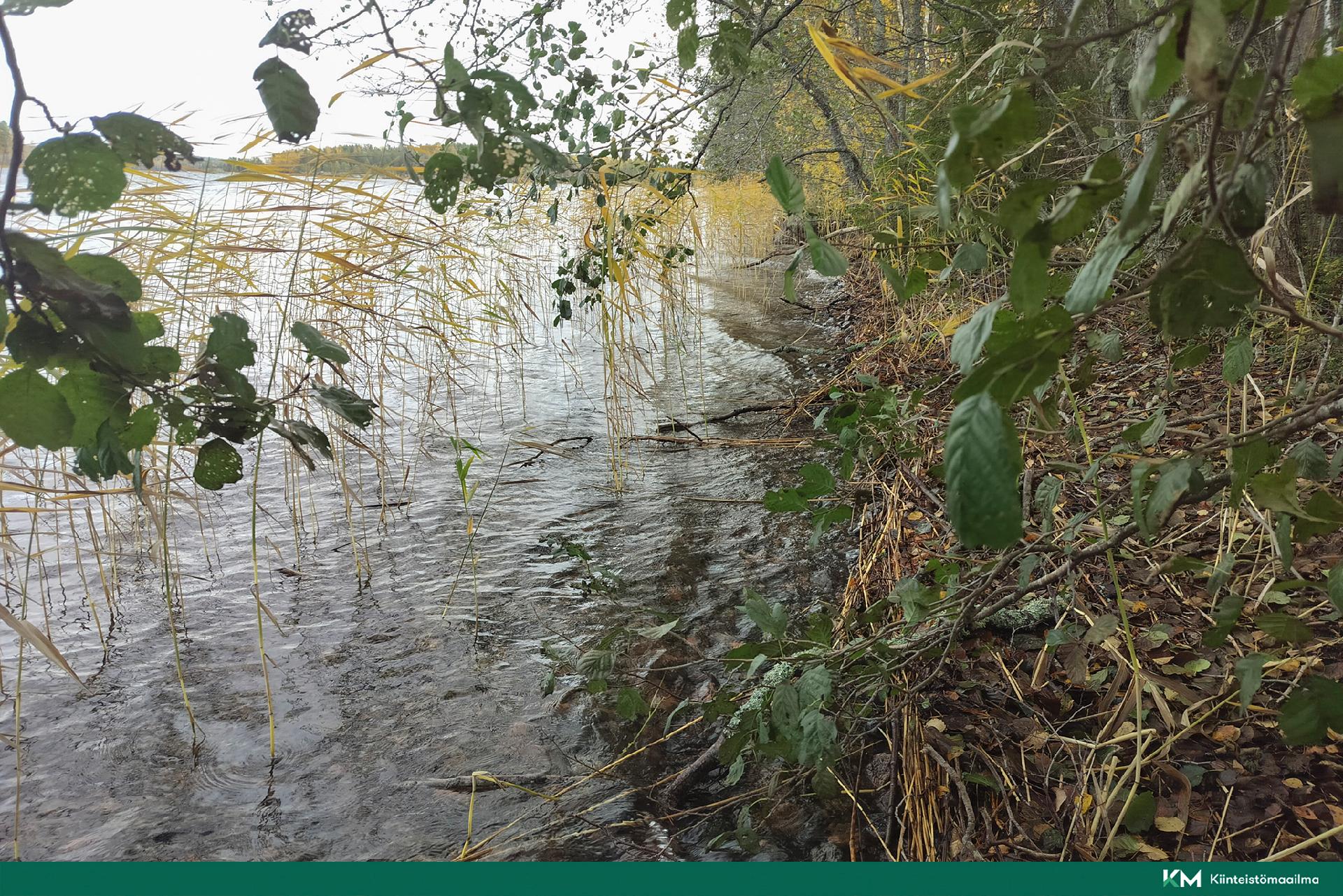 Rauhakiventie tontit 1, 2, 3 ja 6, Ristiina, Mikkeli