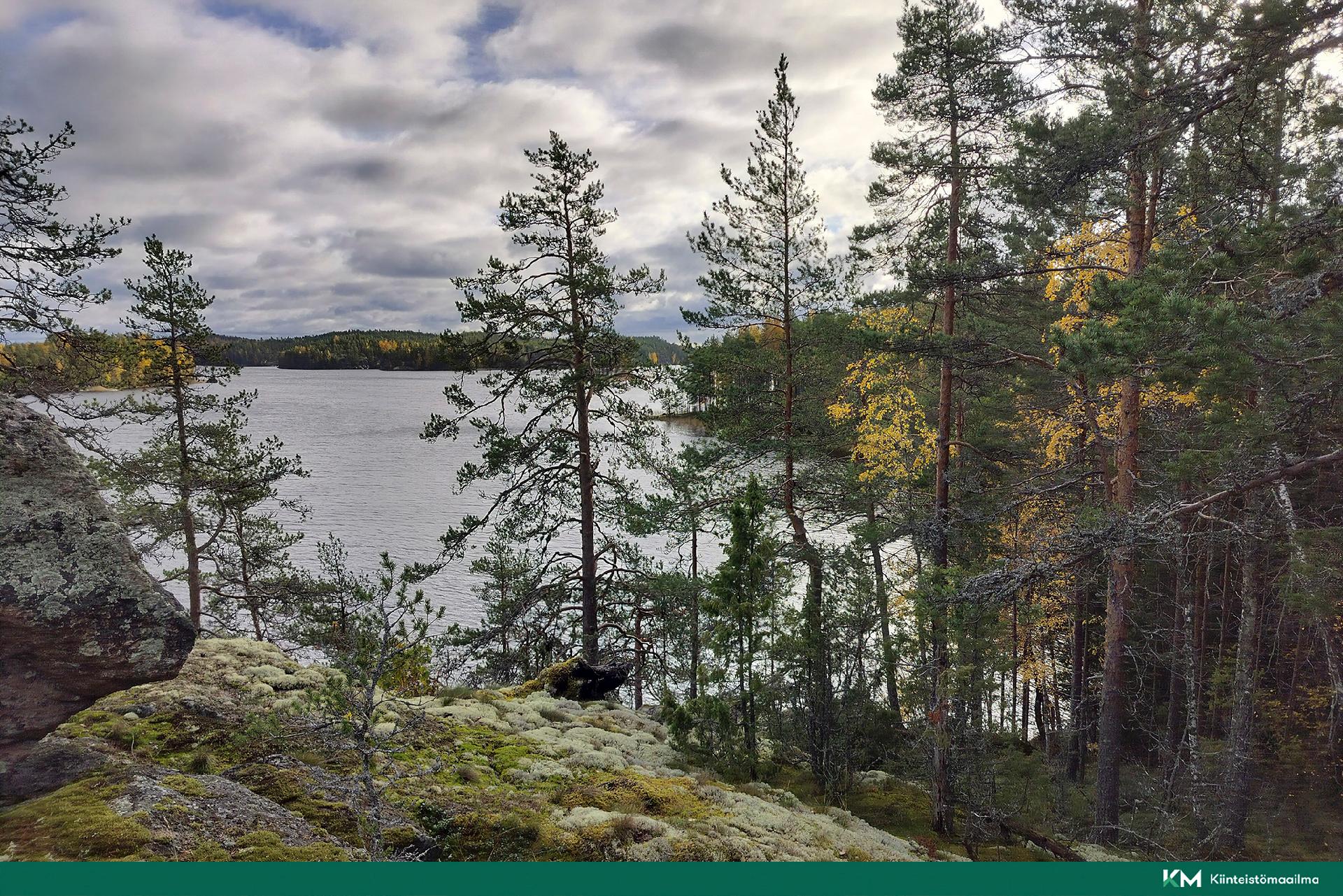 Rauhakiventie tontit 1, 2, 3 ja 6, Ristiina, Mikkeli