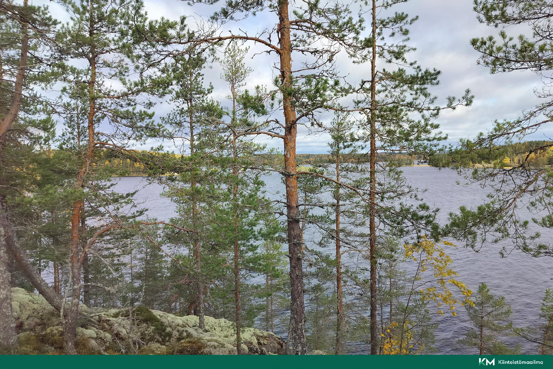 Rauhakiventie tontit 1, 2, 3 ja 6, Ristiina, Mikkeli