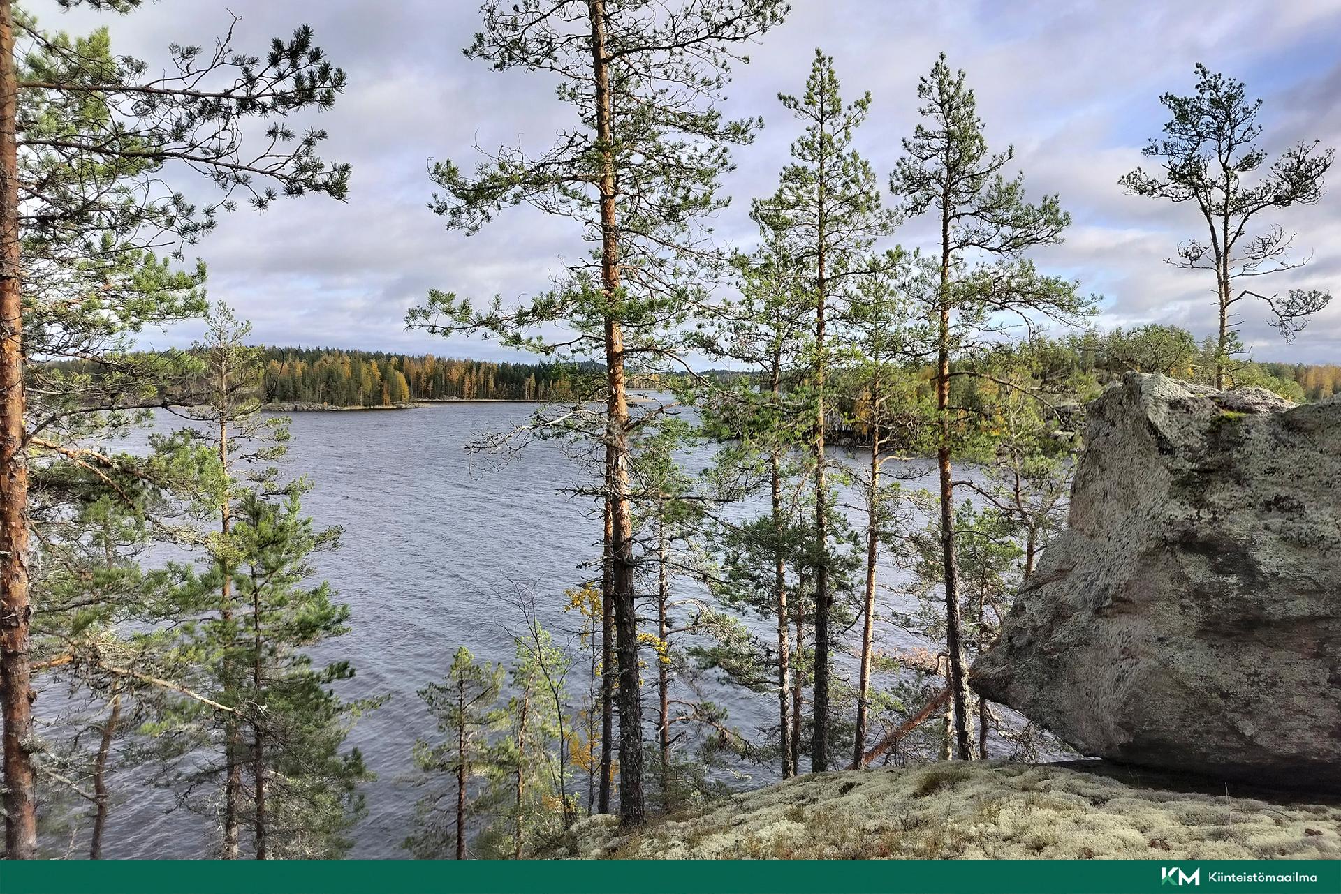 Rauhakiventie tontit 1, 2, 3 ja 6, Ristiina, Mikkeli