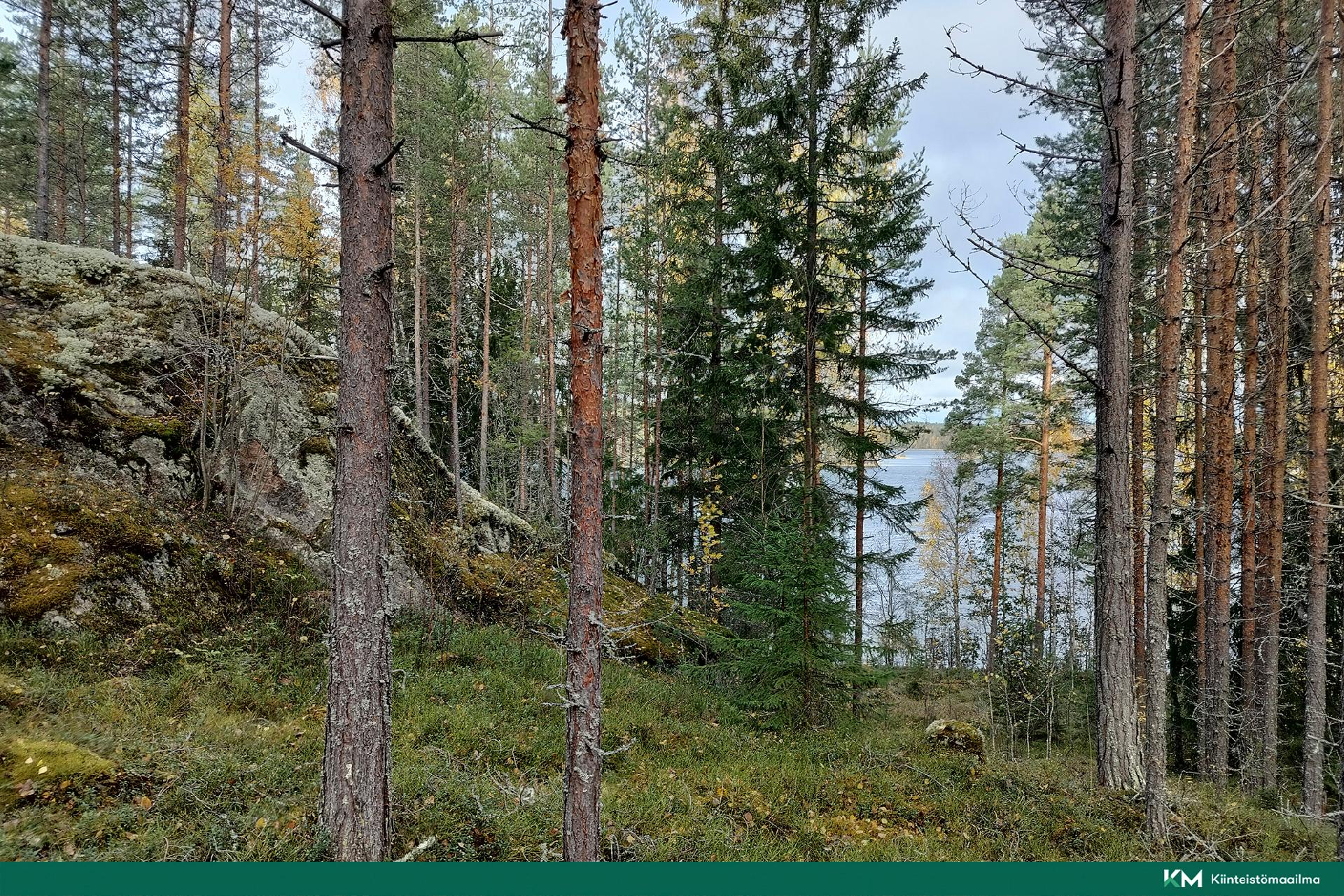 Rauhakiventie tontit 1, 2, 3 ja 6, Ristiina, Mikkeli