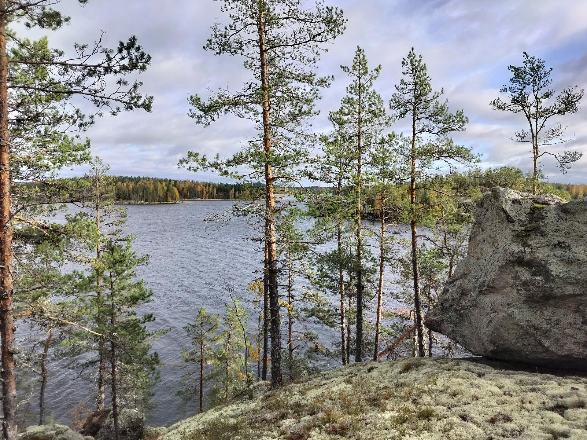 Rauhakiventie tontit 1, 2, 3 ja 6, Ristiina, Mikkeli