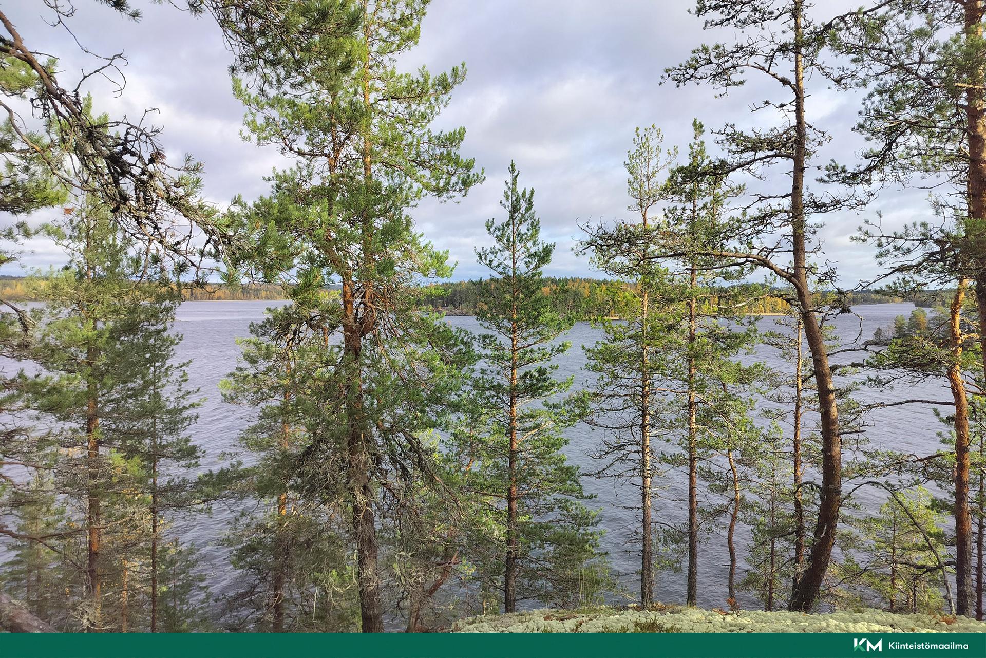 Rauhakiventie tontit 1, 2, 3 ja 6, Ristiina, Mikkeli