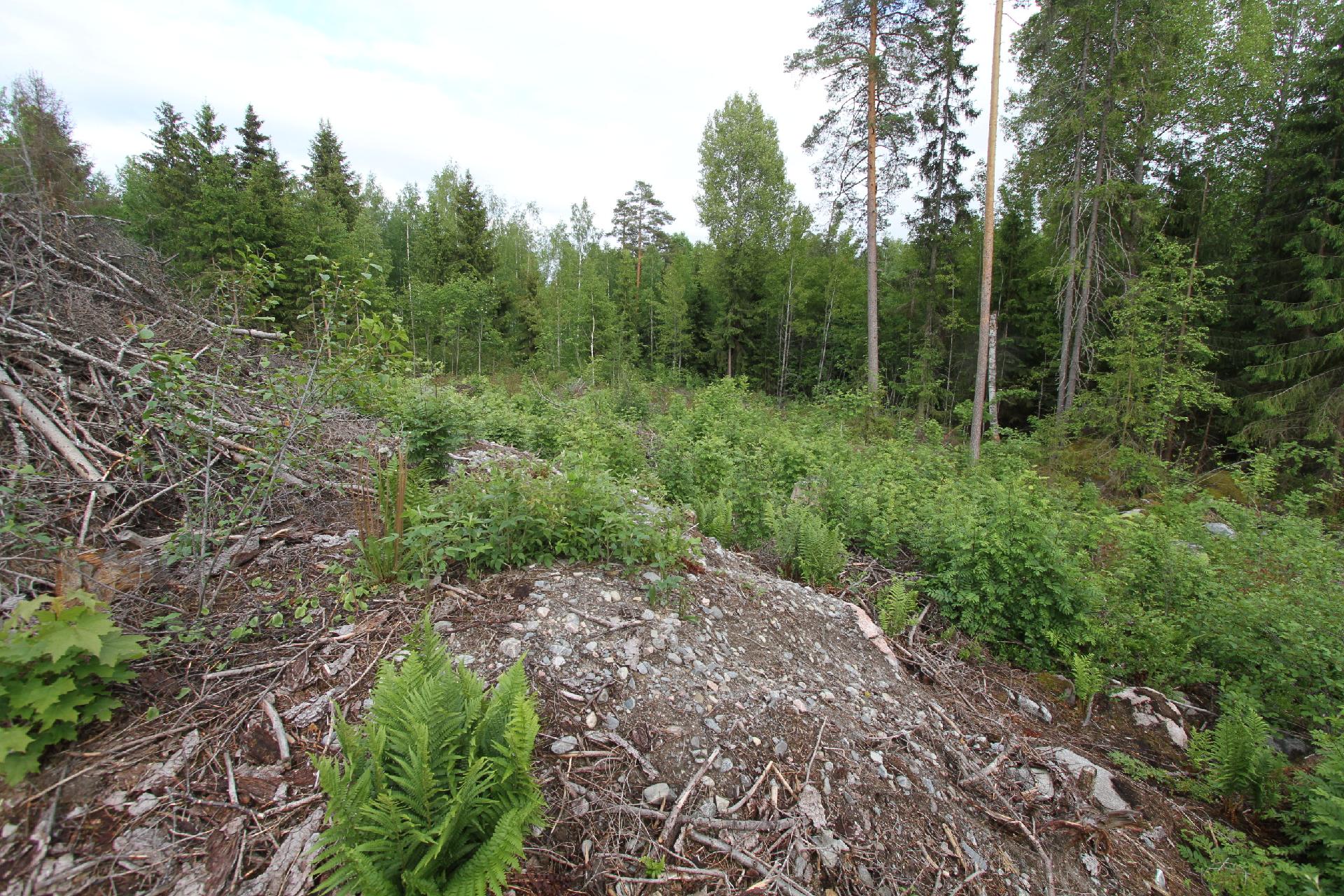 Inkalantie 39, Sääksjärvi, Mäntsälä