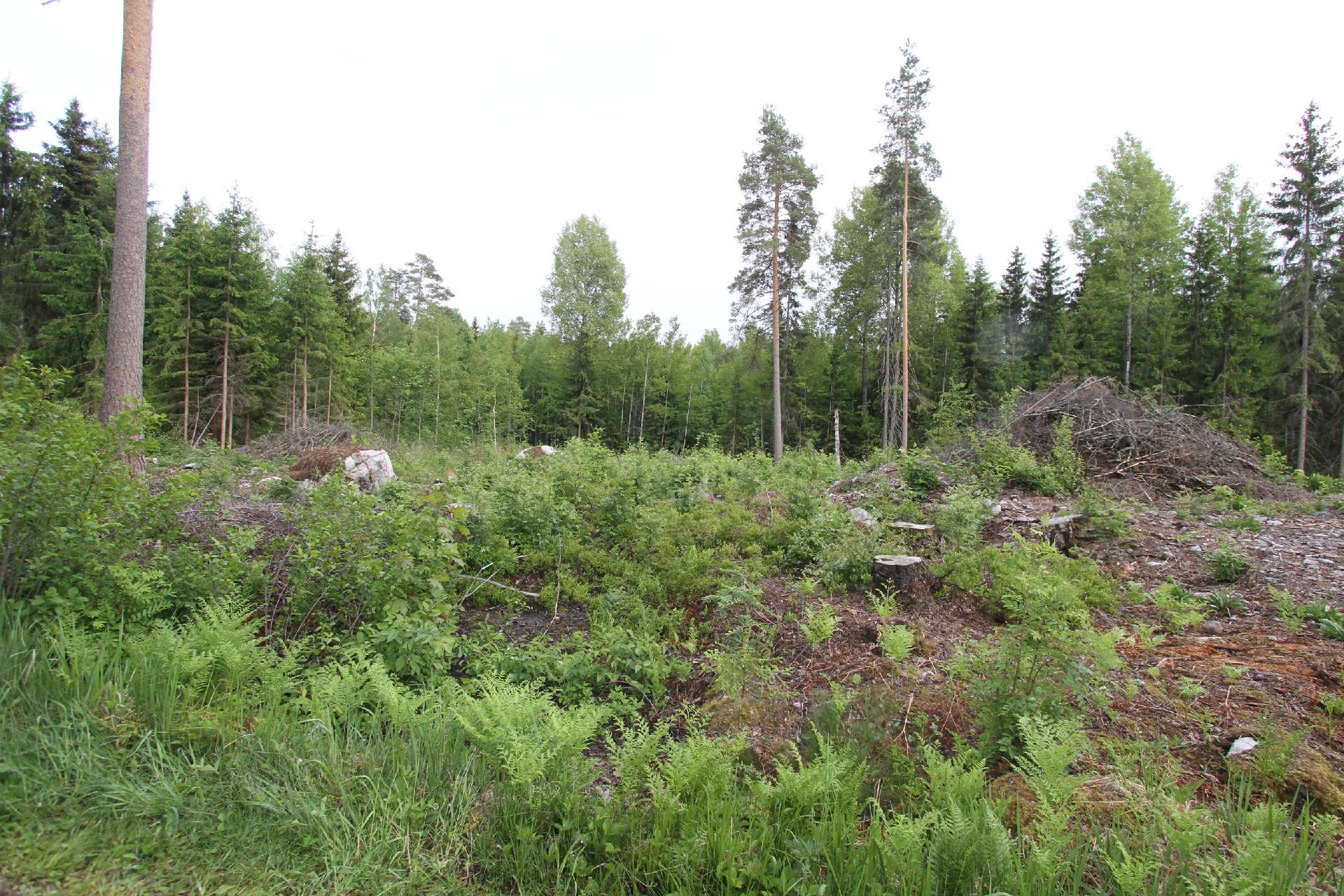 Inkalantie 39, Sääksjärvi, Mäntsälä