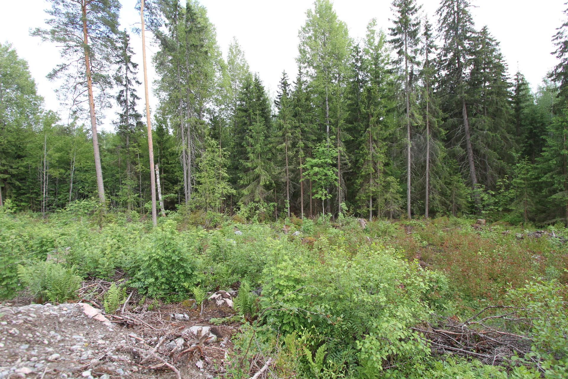 Inkalantie 39, Sääksjärvi, Mäntsälä