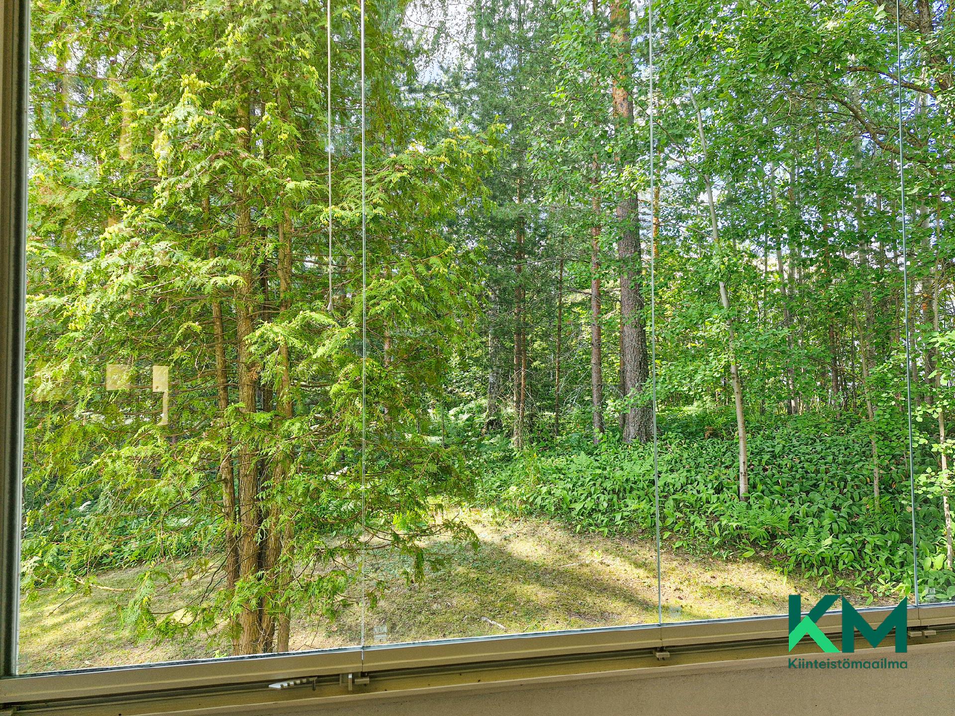 Jääkiekkoradankuja 4, Talvisalo, Savonlinna