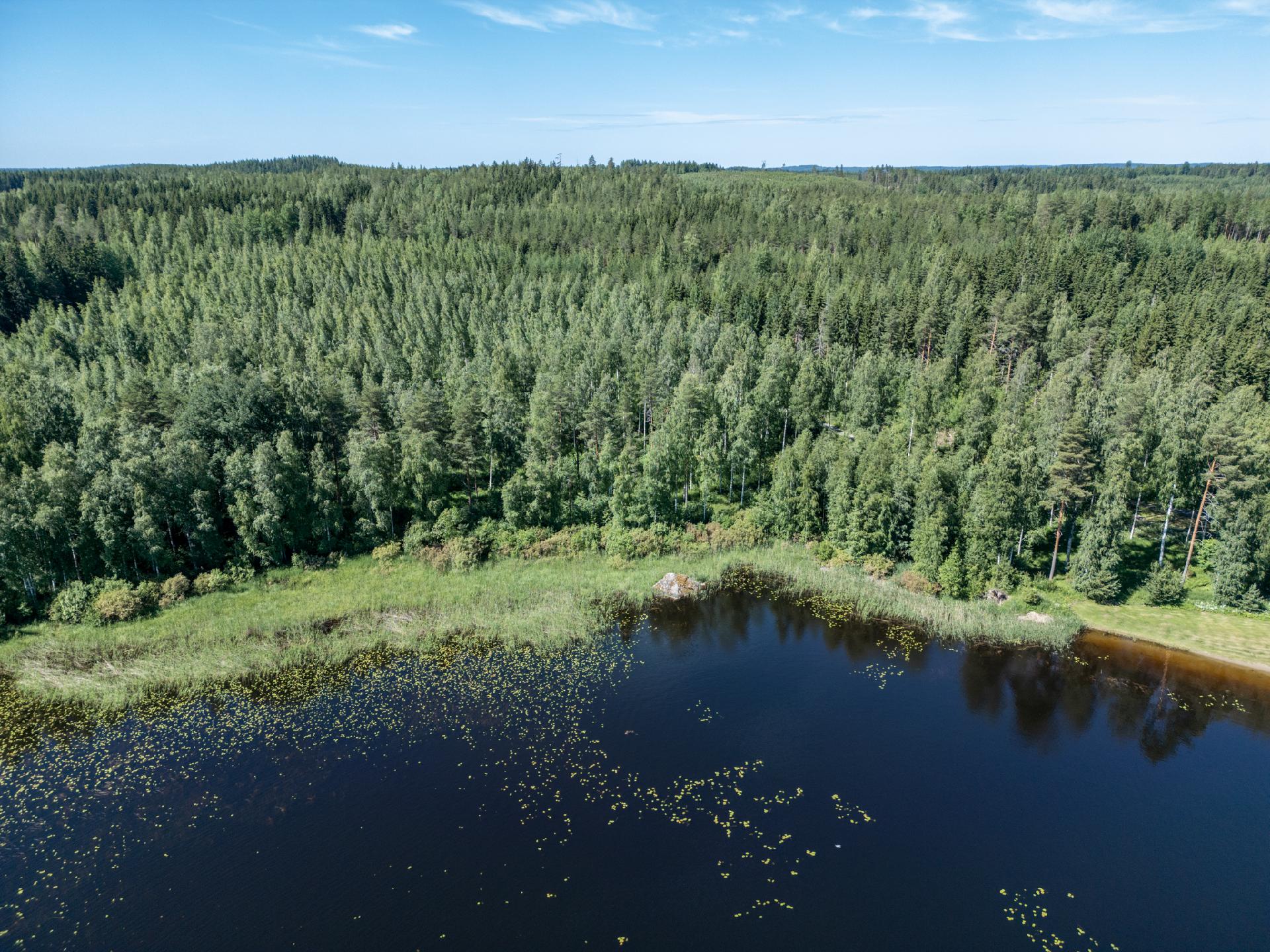 Laitialanlahdentie -, Laitiala, Mikkeli