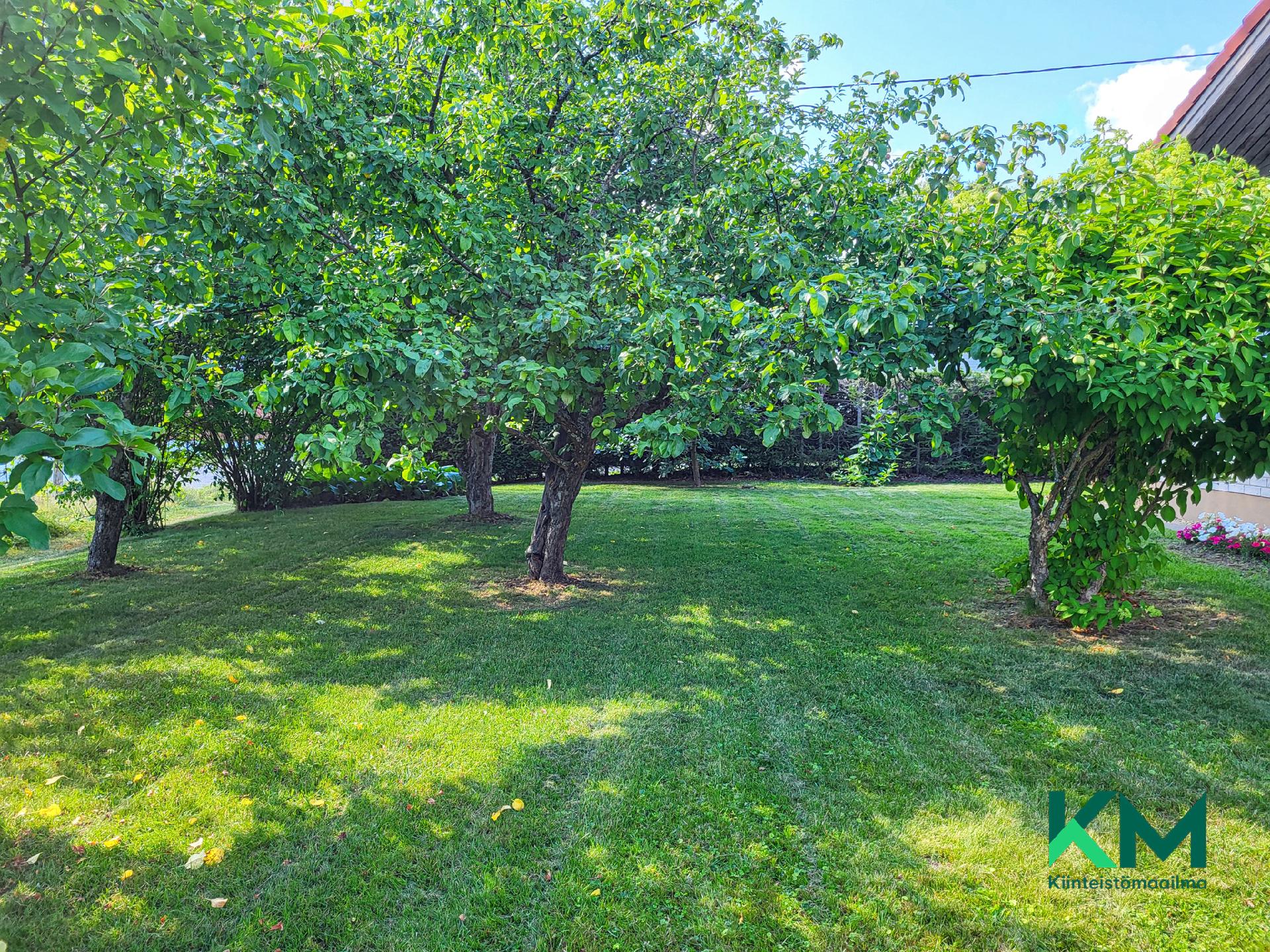 Rentukantie 28, Kellarpelto, Savonlinna