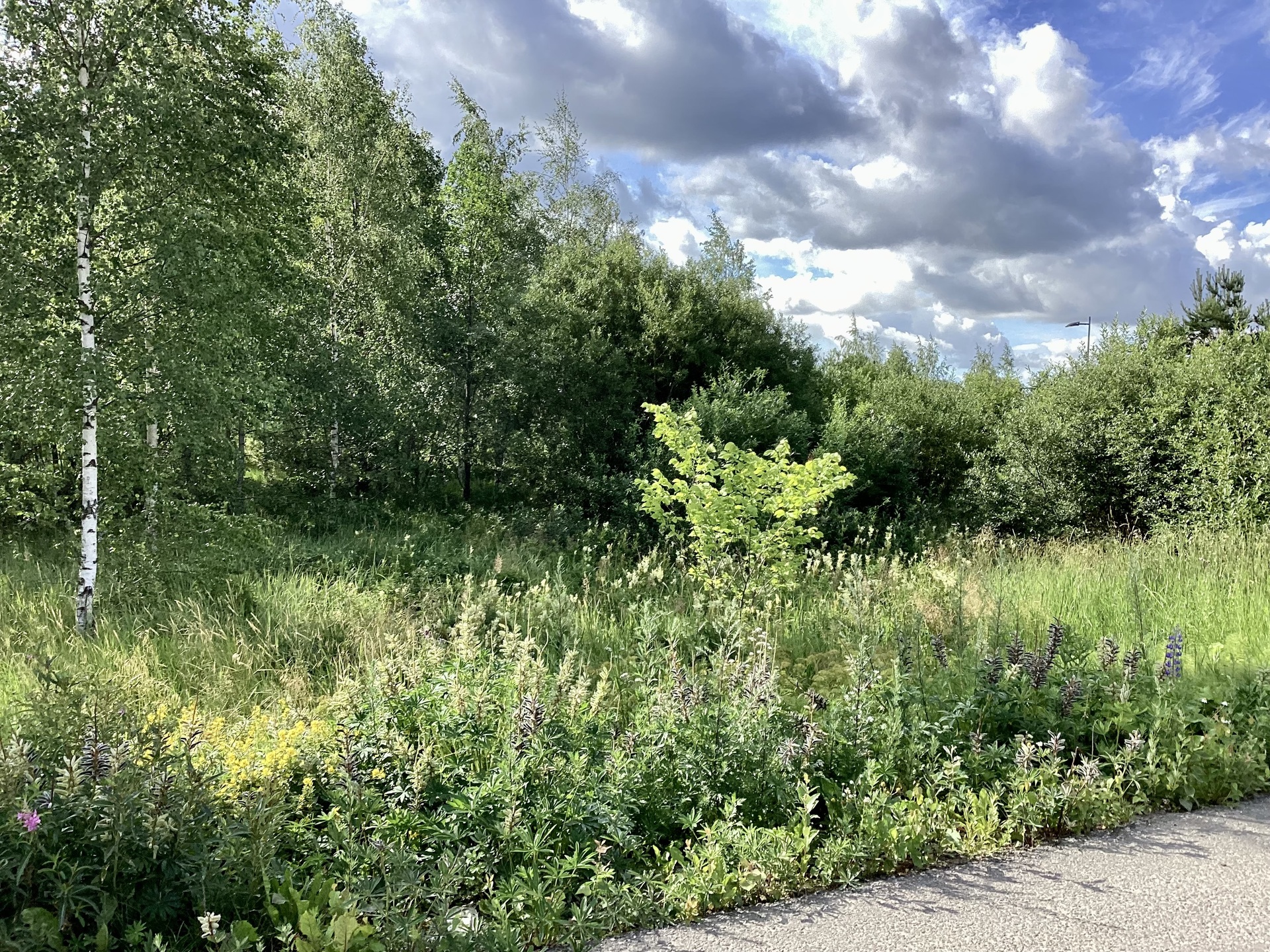 Kulmapellonkuja 28, Lahela, Tuusula