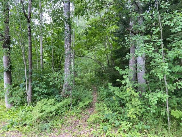 Lindstedtintie 19, Kauniainen