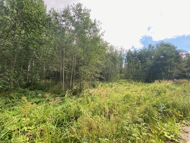 Lindstedtintie 19, Kauniainen