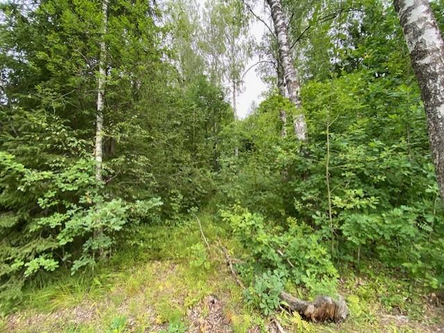 Lindstedtintie 19, Kauniainen