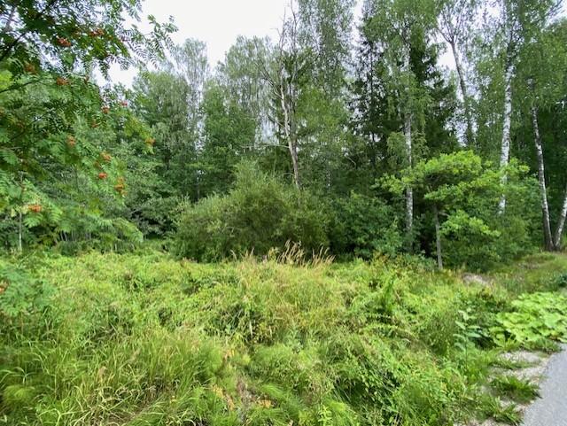 Lindstedtintie 19, Kauniainen