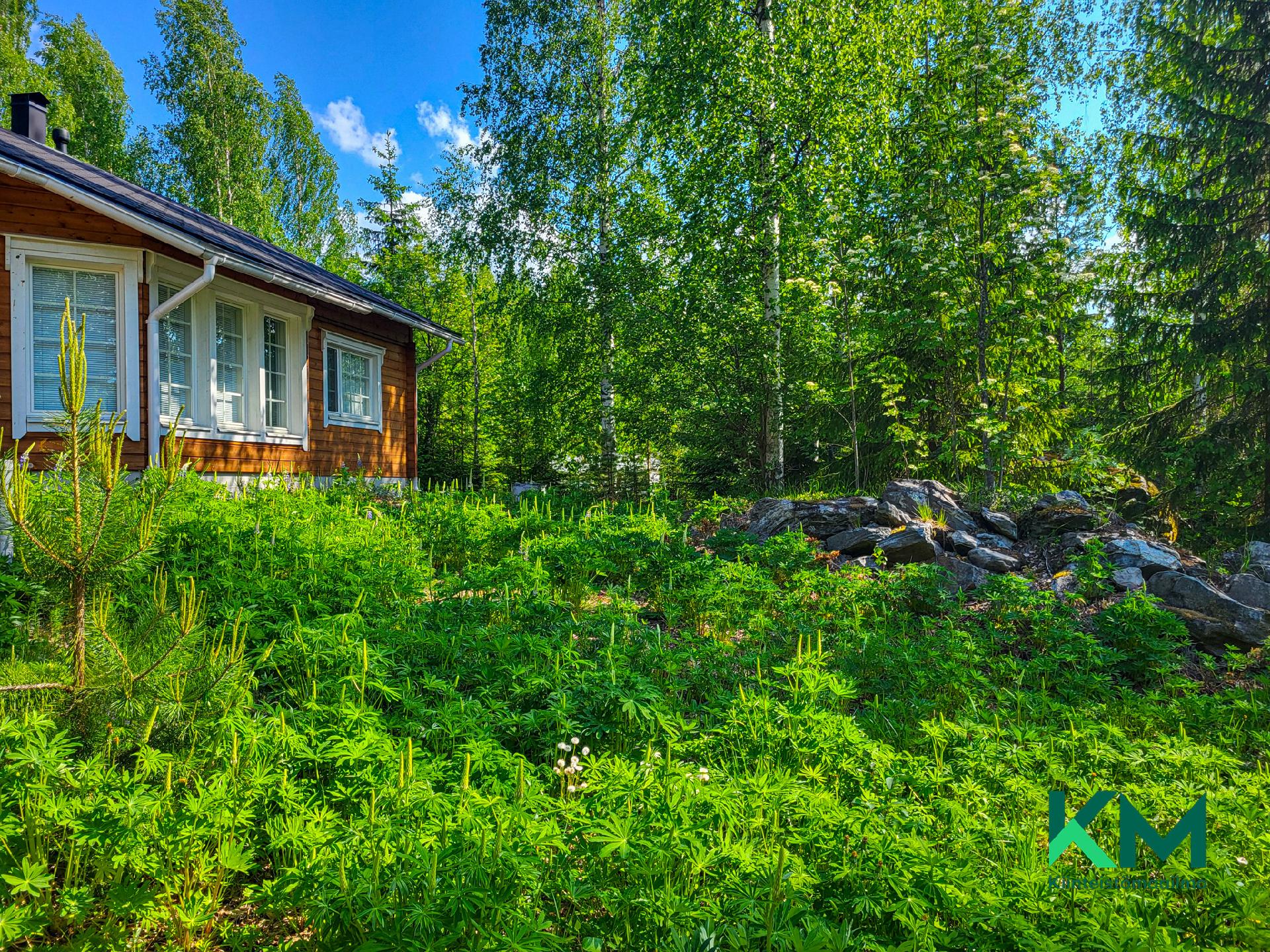 Olavinlammentie 6, Enonkoski