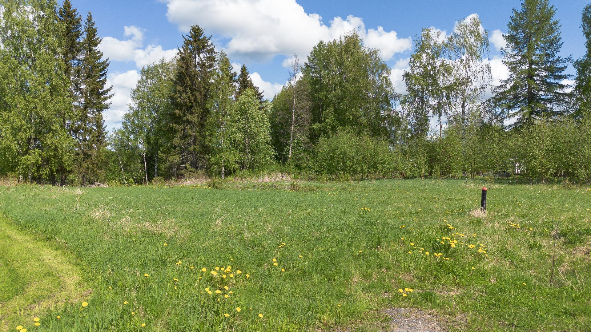 Konttilanmutka 5, Konttila, Muhos