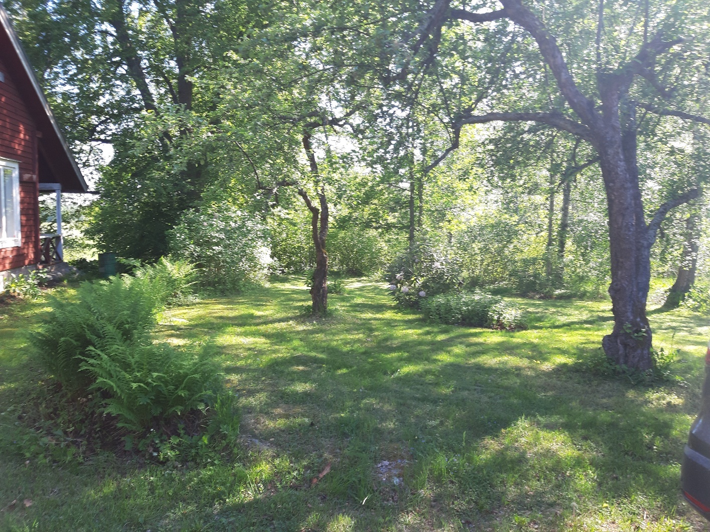 Sivupiha, kesä