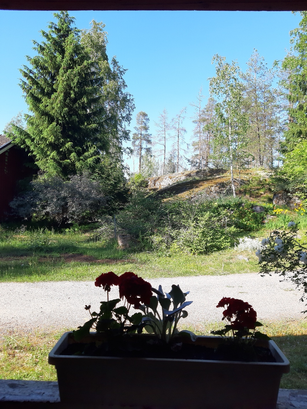 Etupihan kalliot
