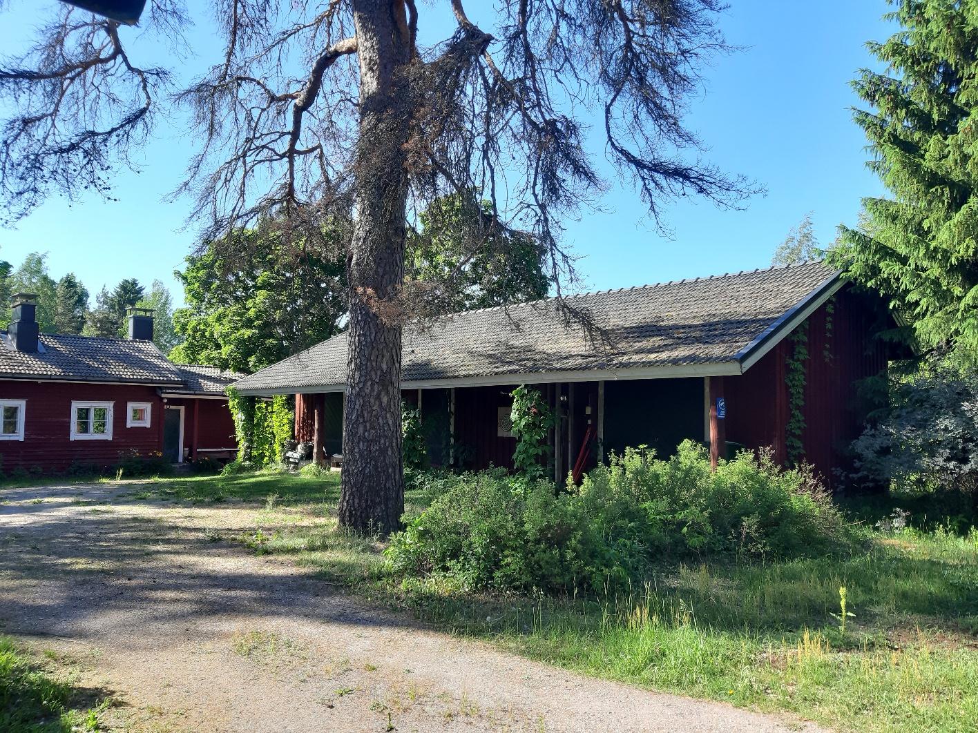 Piharakennukset, kesä