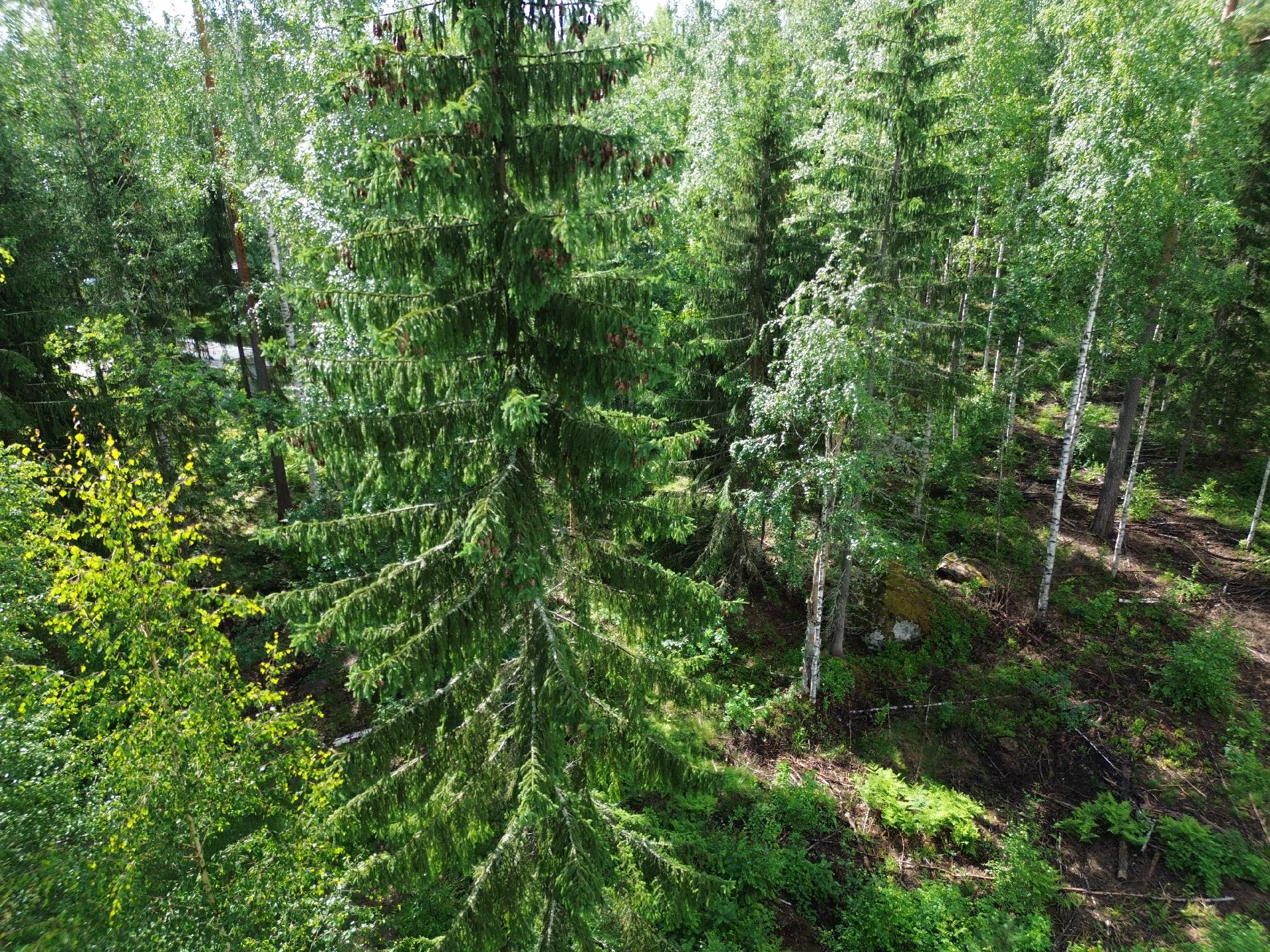 Kirveskoskentie 36, Kirveskoski, Pornainen