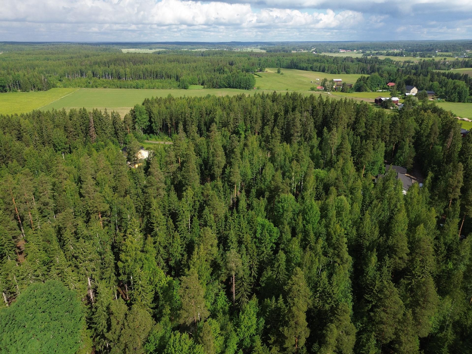 Kirveskoskentie 36, Kirveskoski, Pornainen