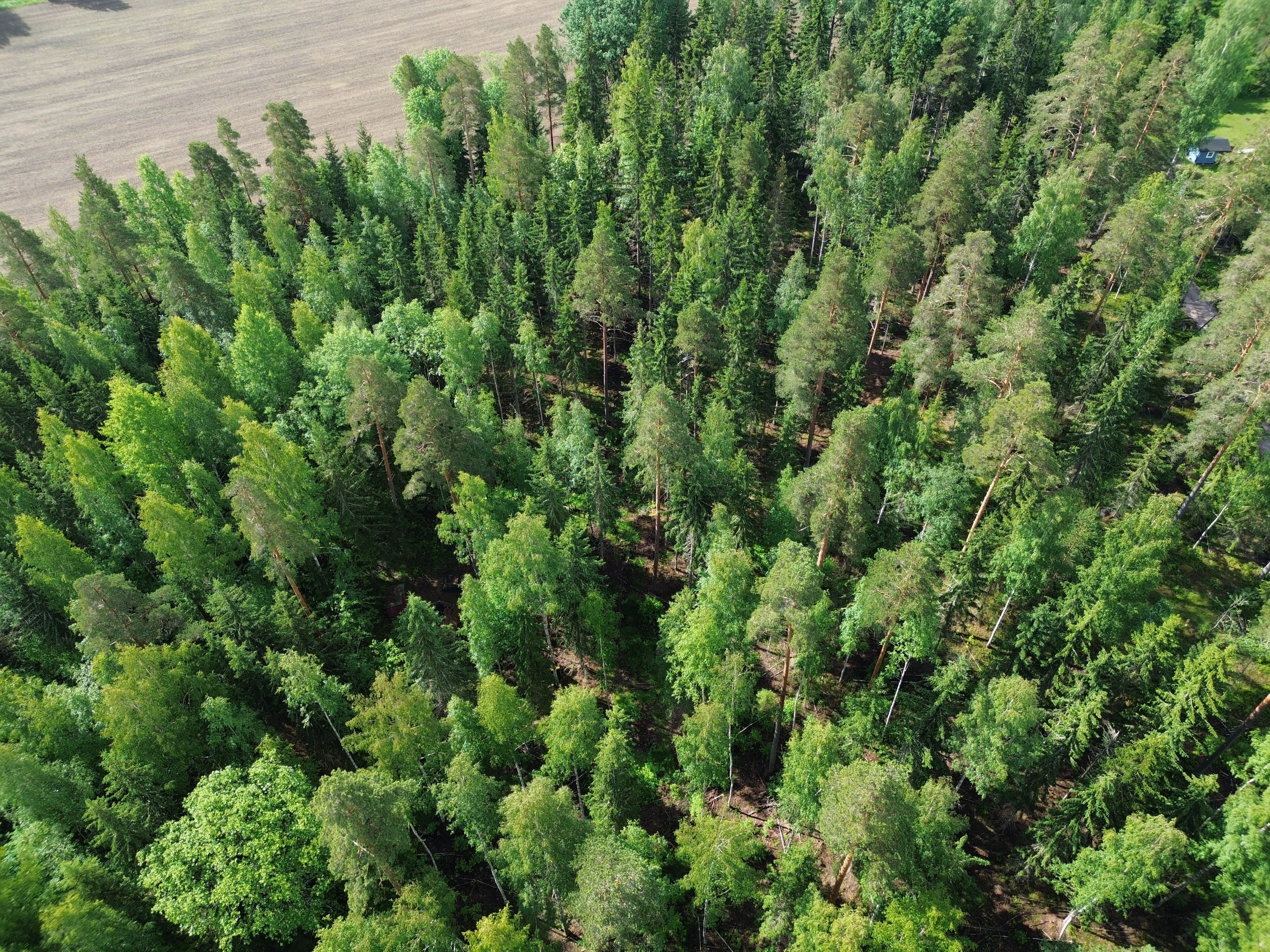 Kirveskoskentie 36, Kirveskoski, Pornainen