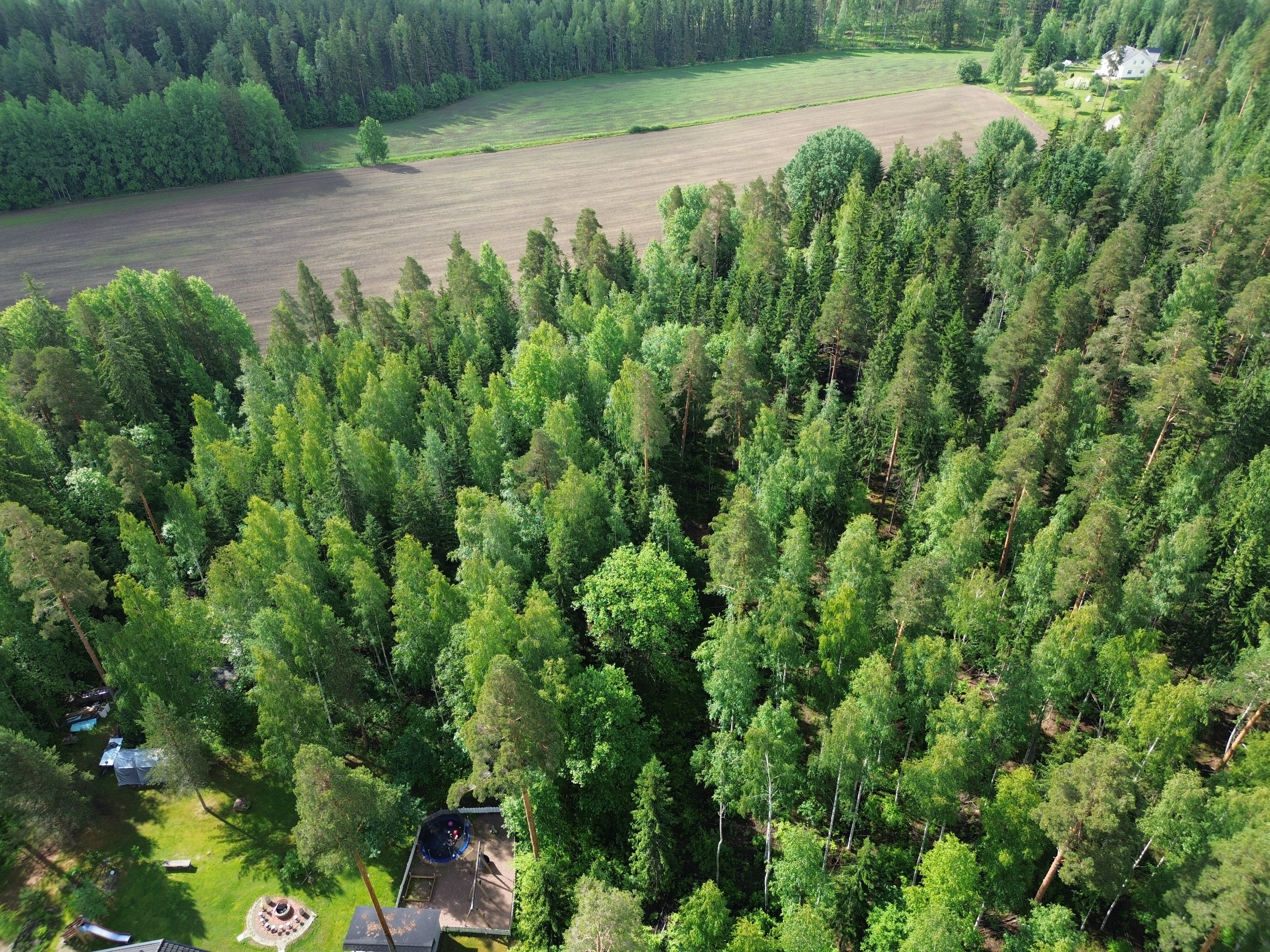 Kirveskoskentie 36, Kirveskoski, Pornainen