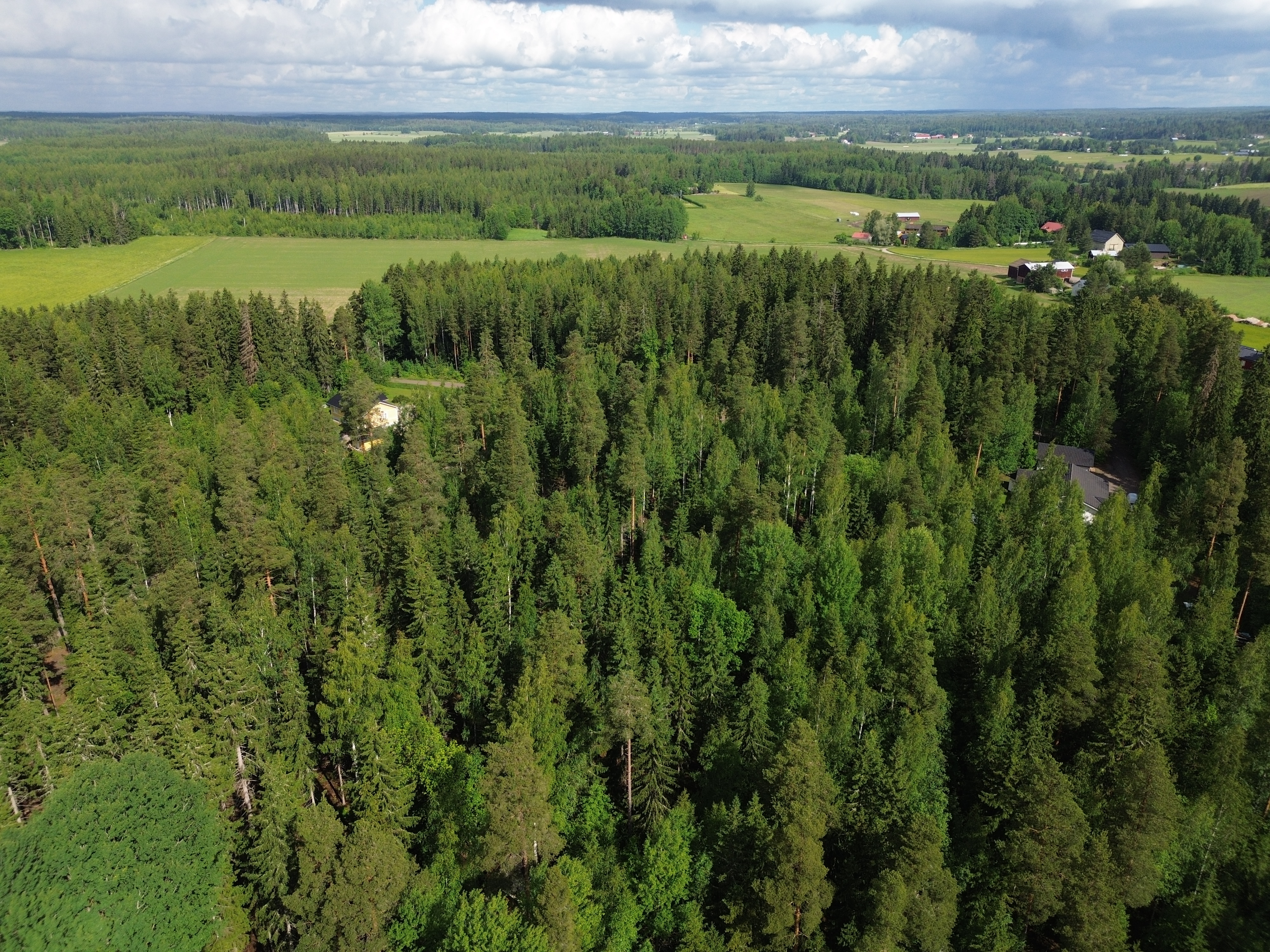 Kirveskoskentie 36, Kirveskoski, Pornainen