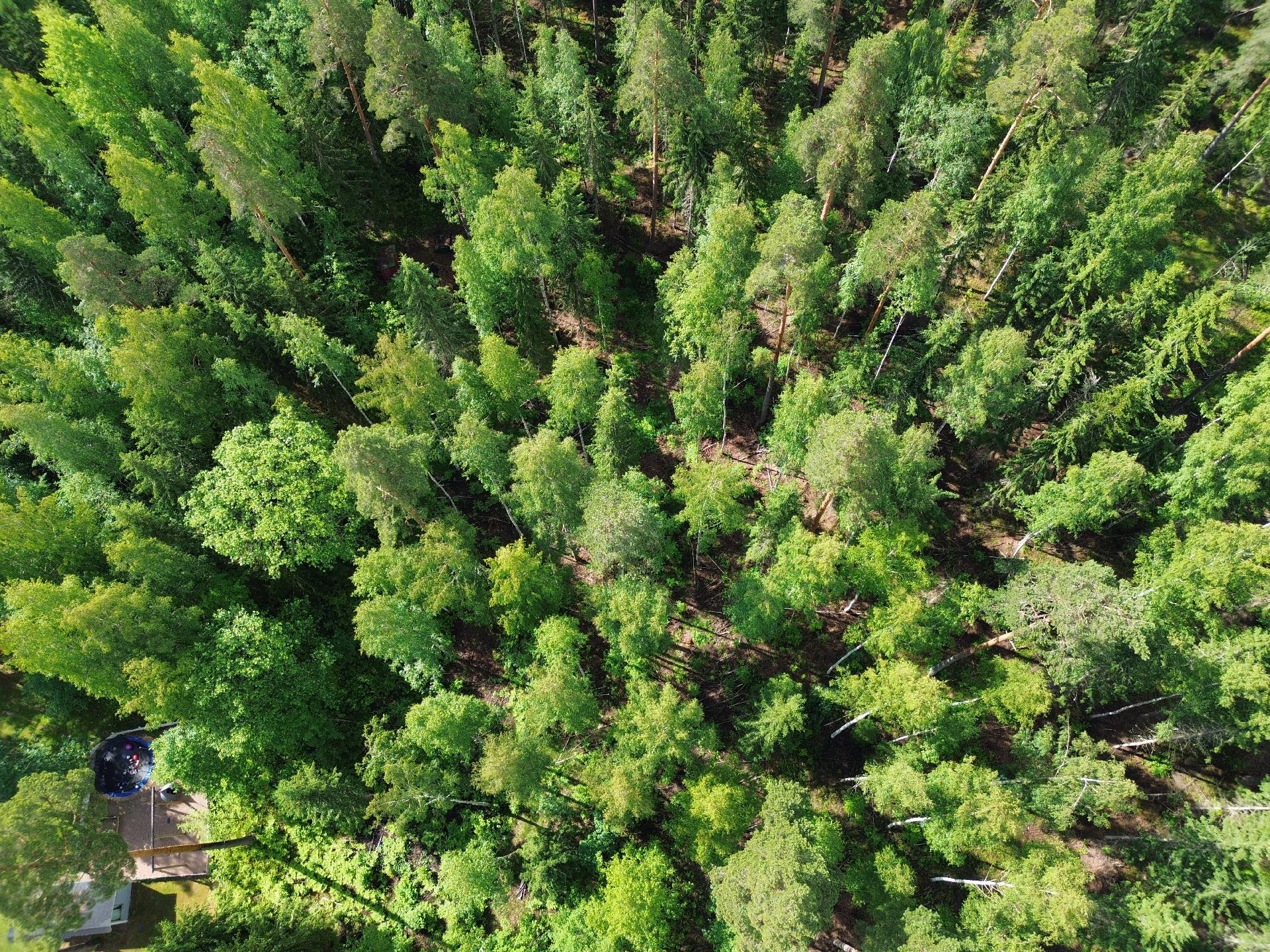 Kirveskoskentie 36, Kirveskoski, Pornainen