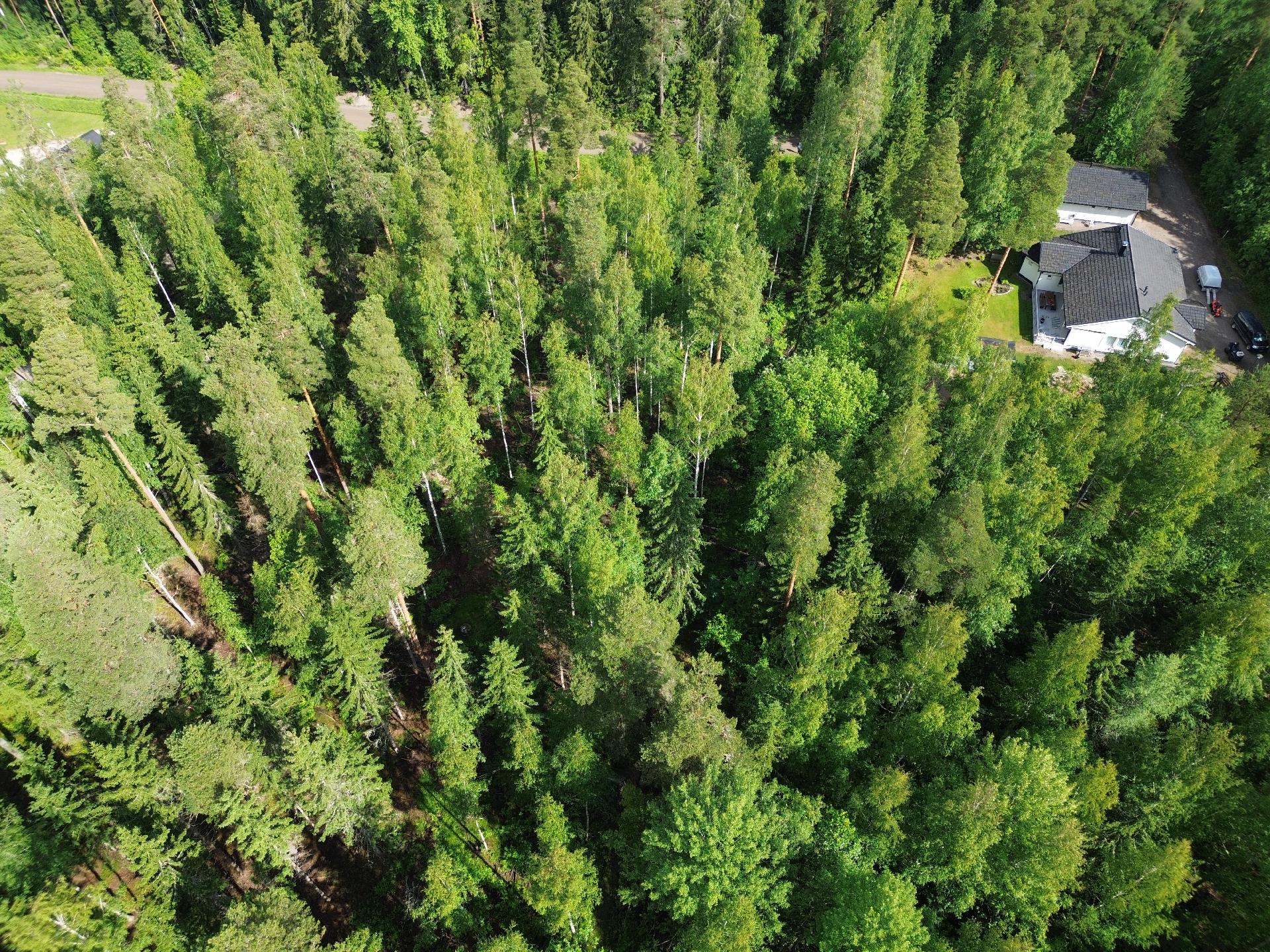 Kirveskoskentie 36, Kirveskoski, Pornainen