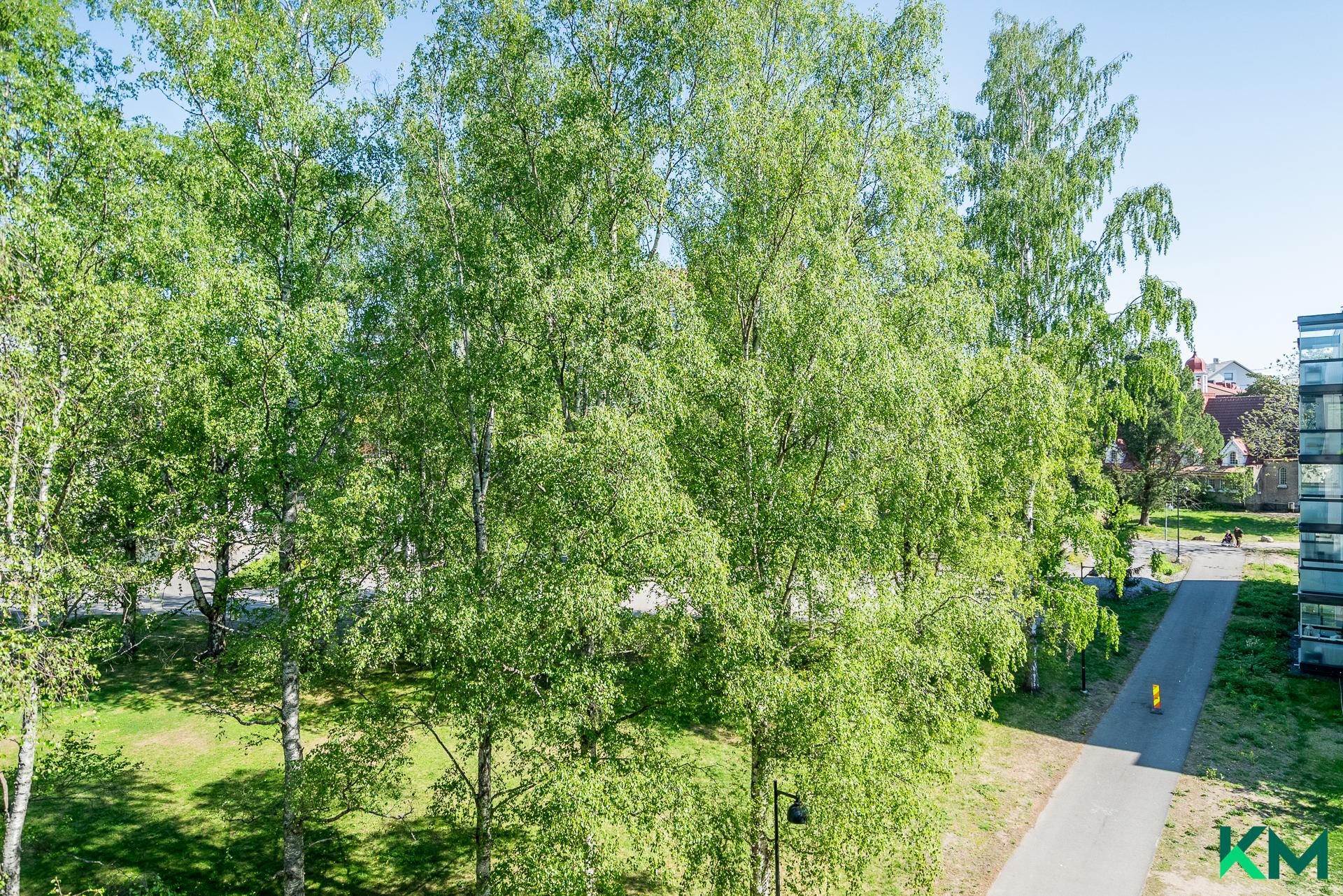 Kappelinpiha 6, Koskela, Helsinki