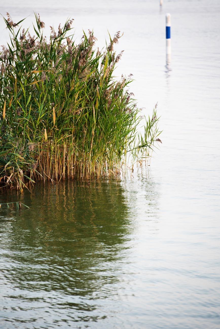 Kruunukuja 1, Loviisa