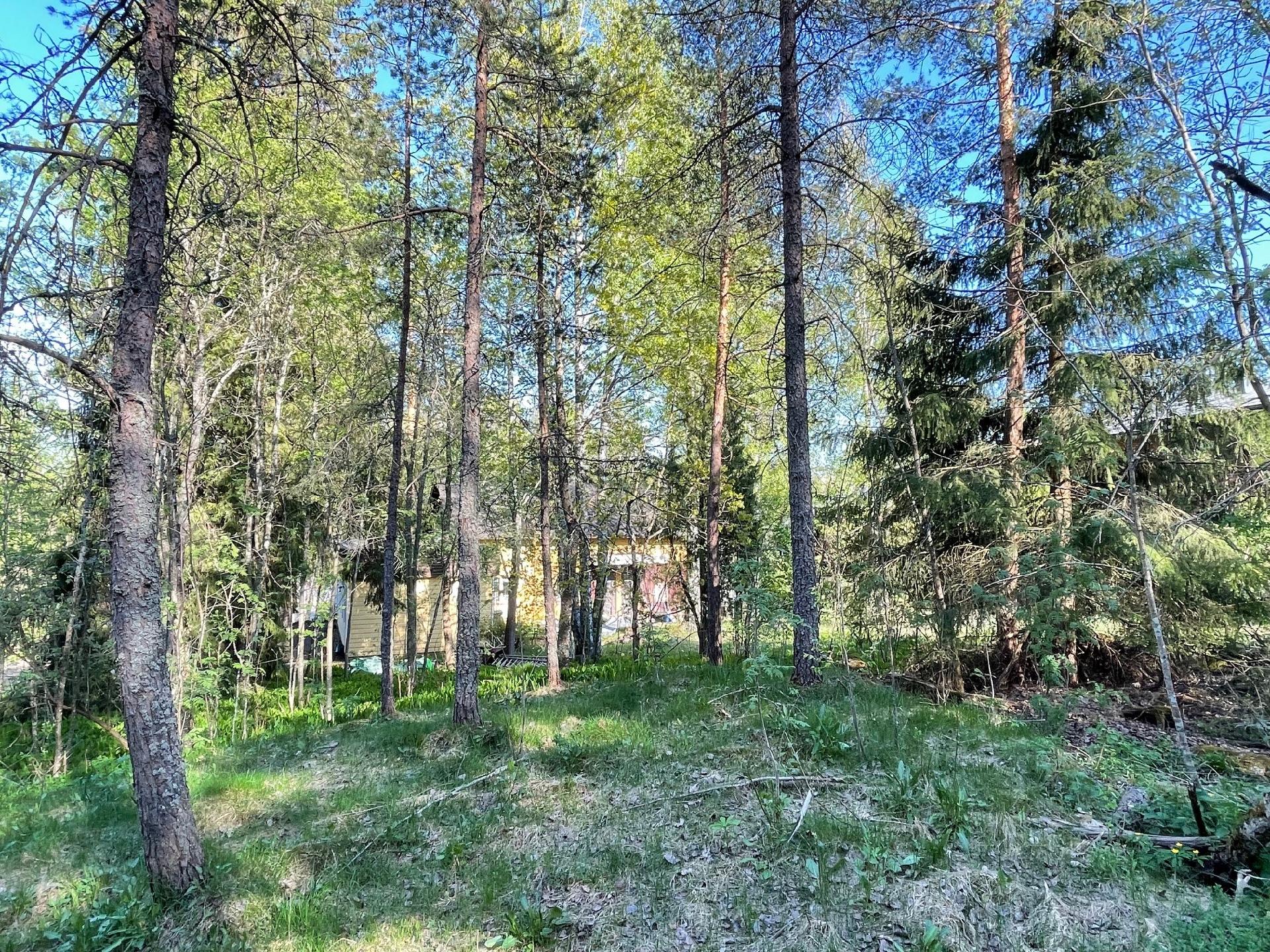 Koivikkorinne 4, Kivimäki, Vantaa