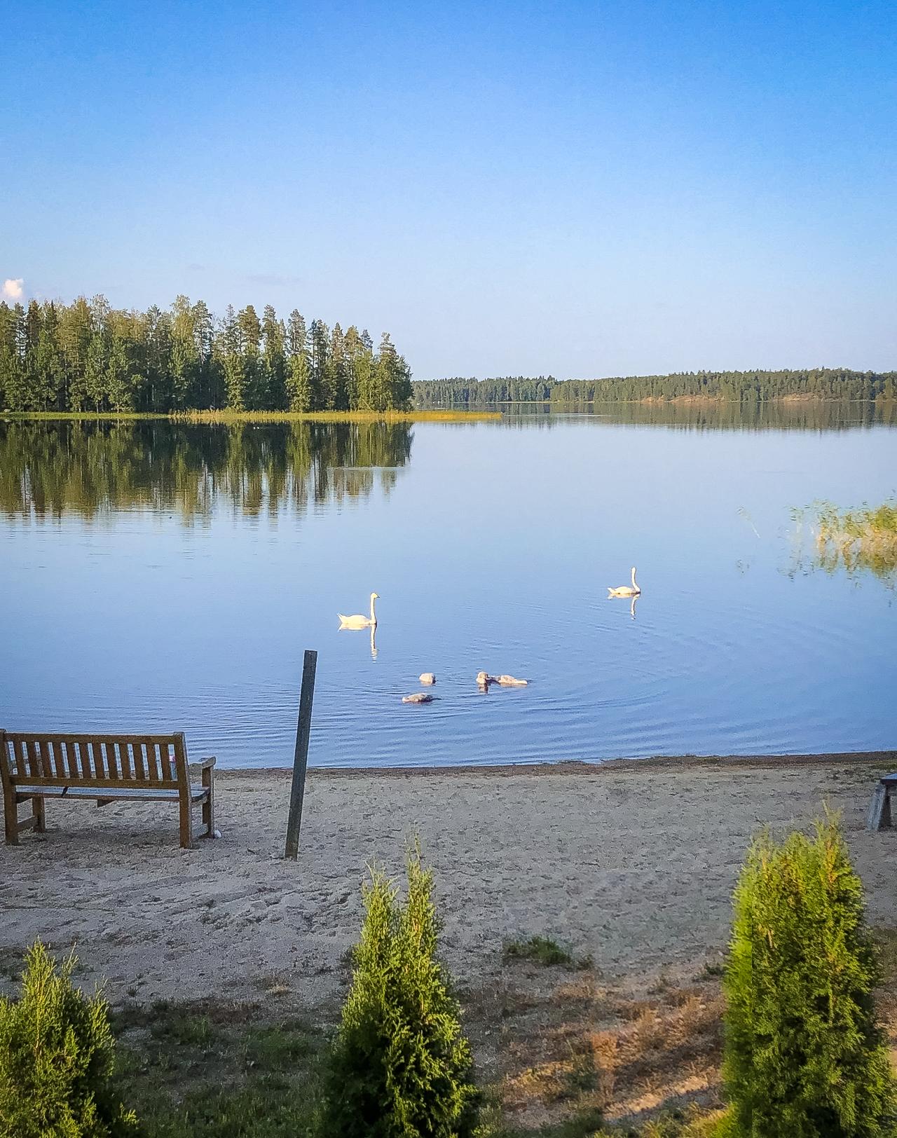 rantamaisemaa