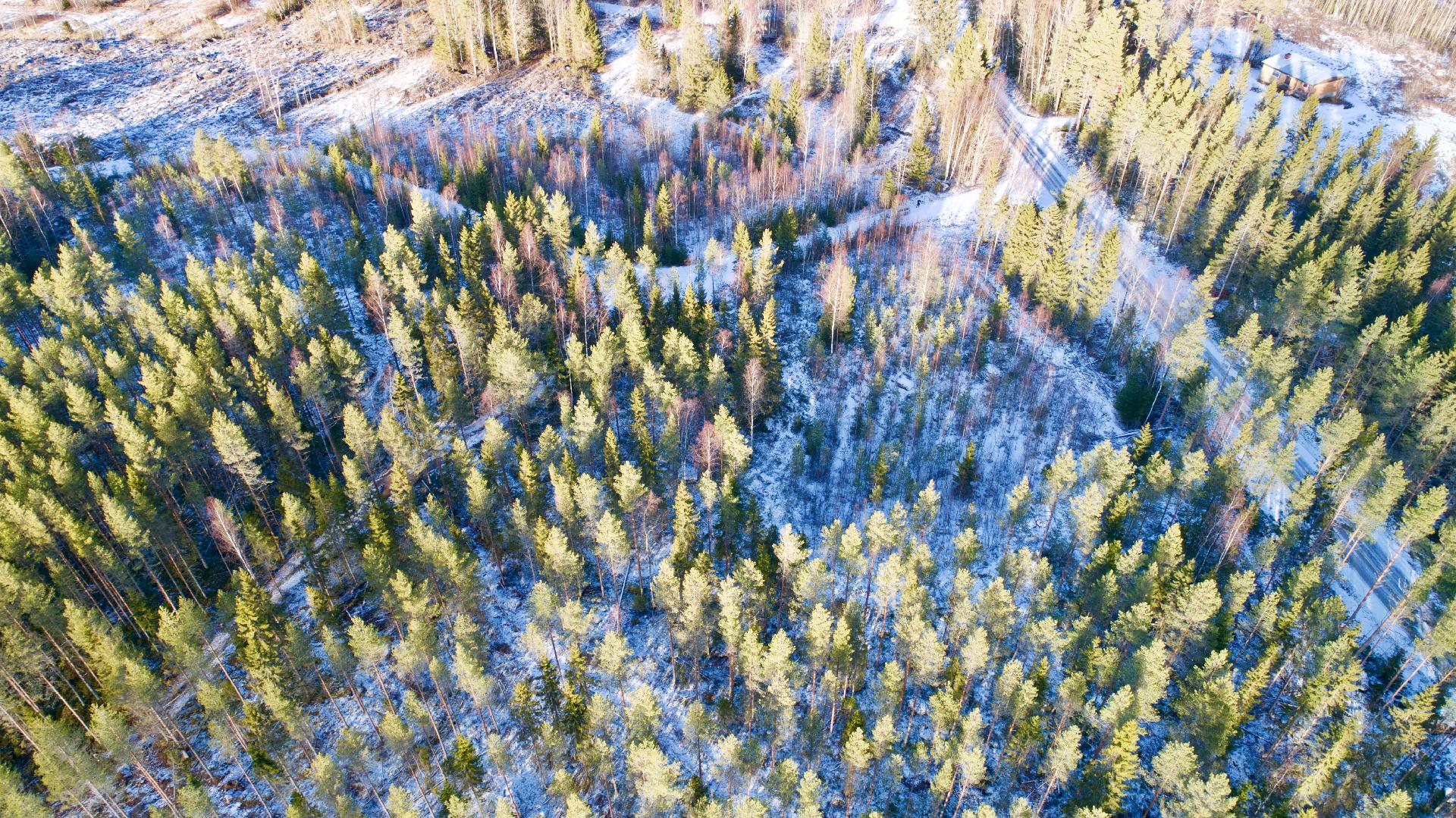 Penttilänlammentie 1, Ruotsalo, Kokkola
