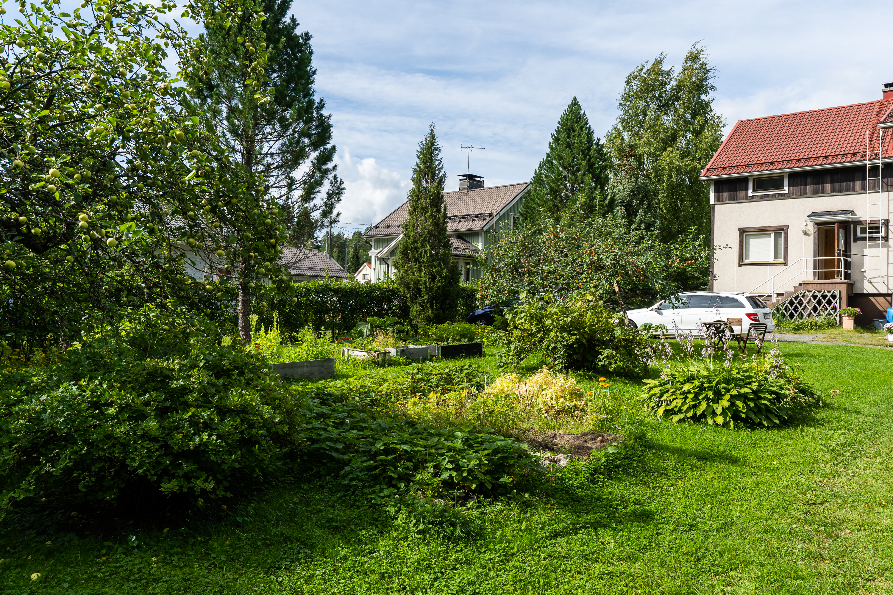 Palstatie 3, Vuorentausta, Ylöjärvi