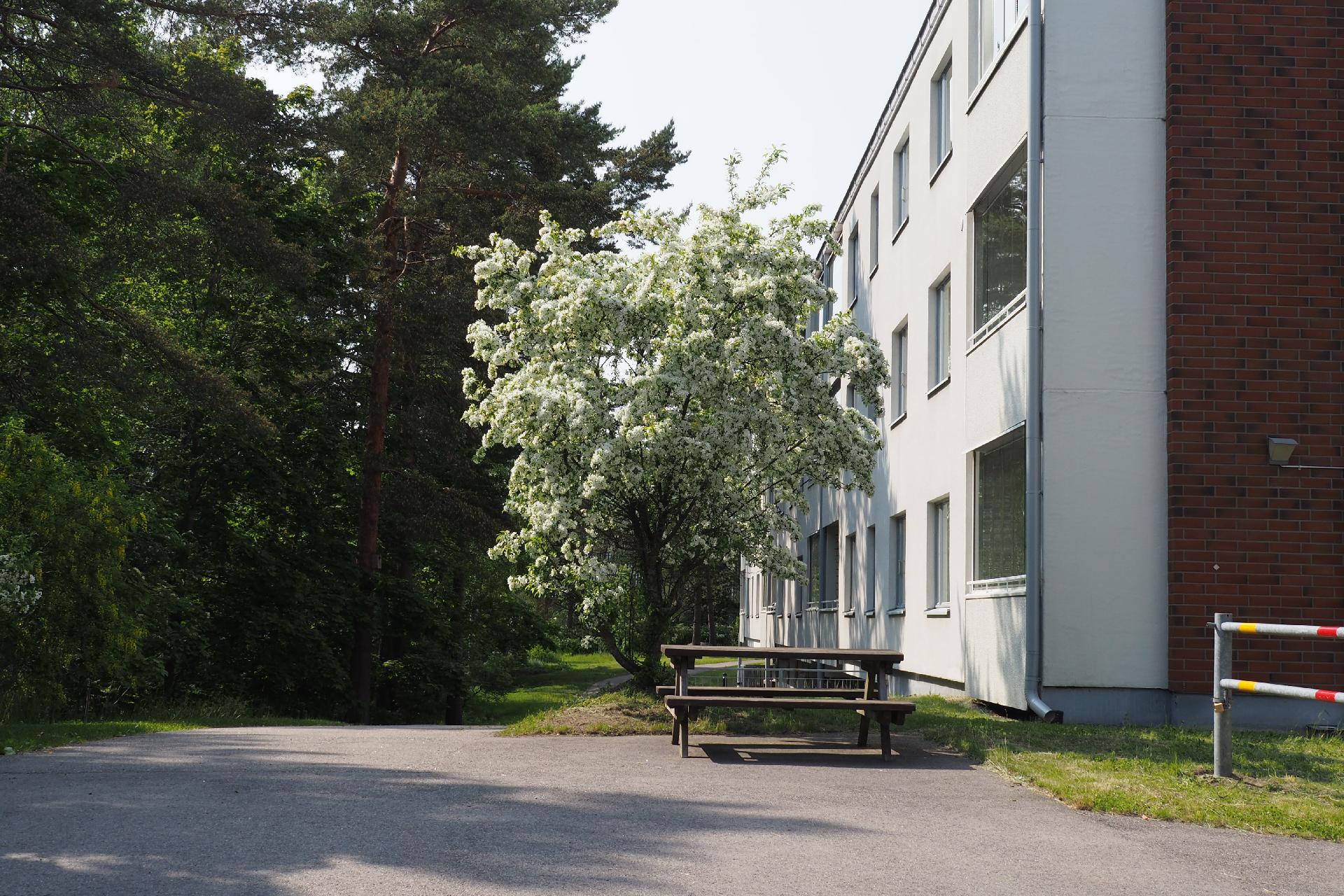 Uotinmäentie 9, Mellunmäki, Helsinki