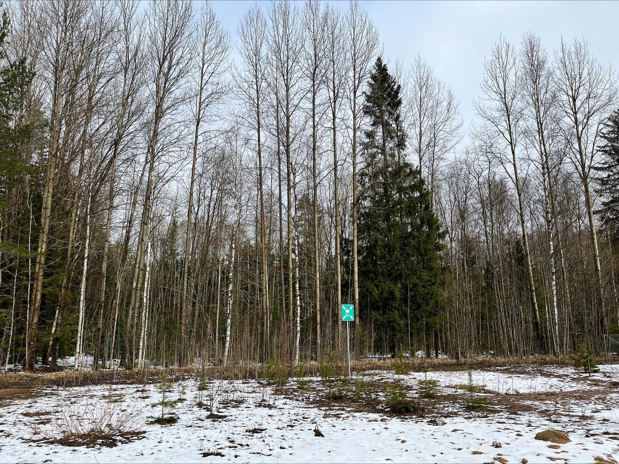 Kaukastentie 154, Kaukas, Hyvinkää