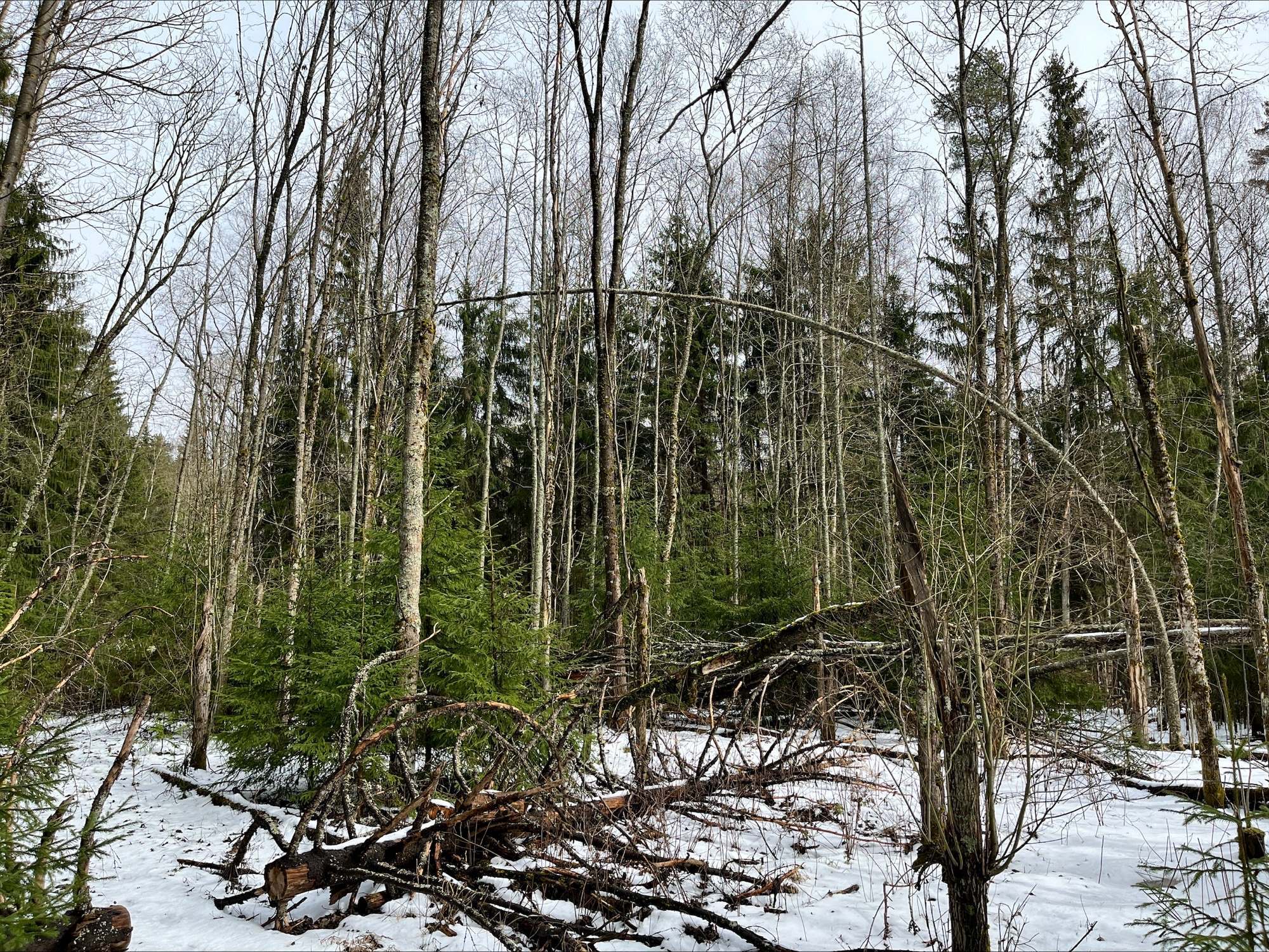 Kaukastentie 154, Kaukas, Hyvinkää