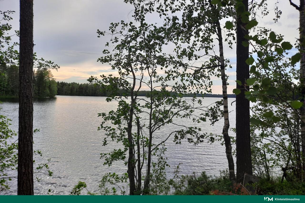 Nääringintie 368, Juva