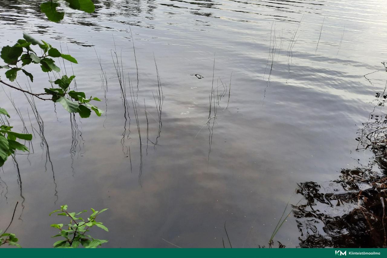 Nääringintie 368, Juva