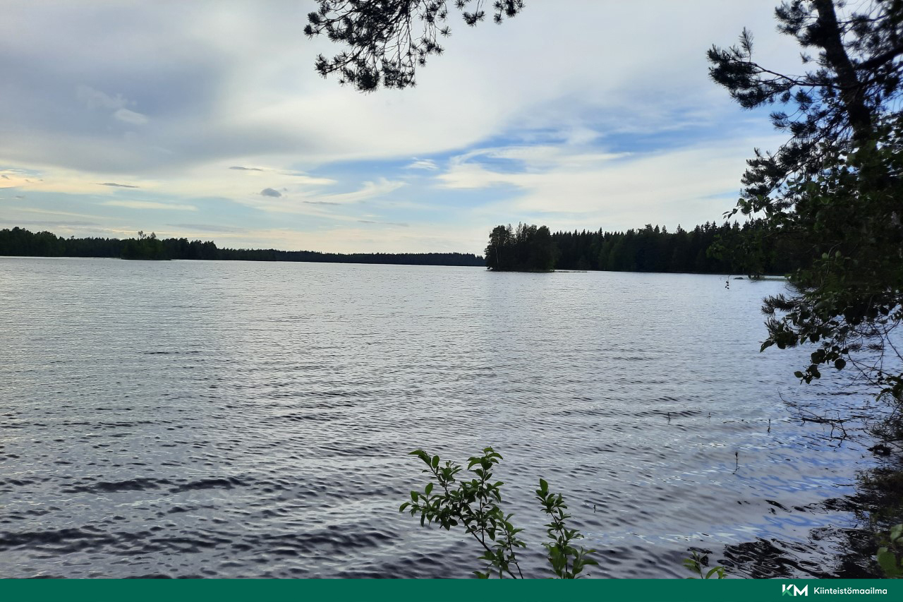 Nääringintie 368, Juva