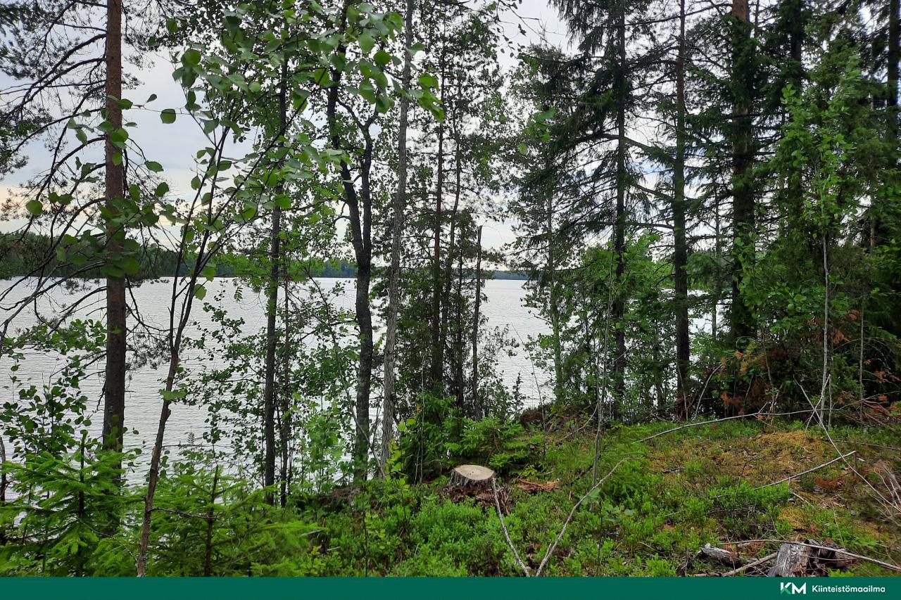 Nääringintie 368, Juva