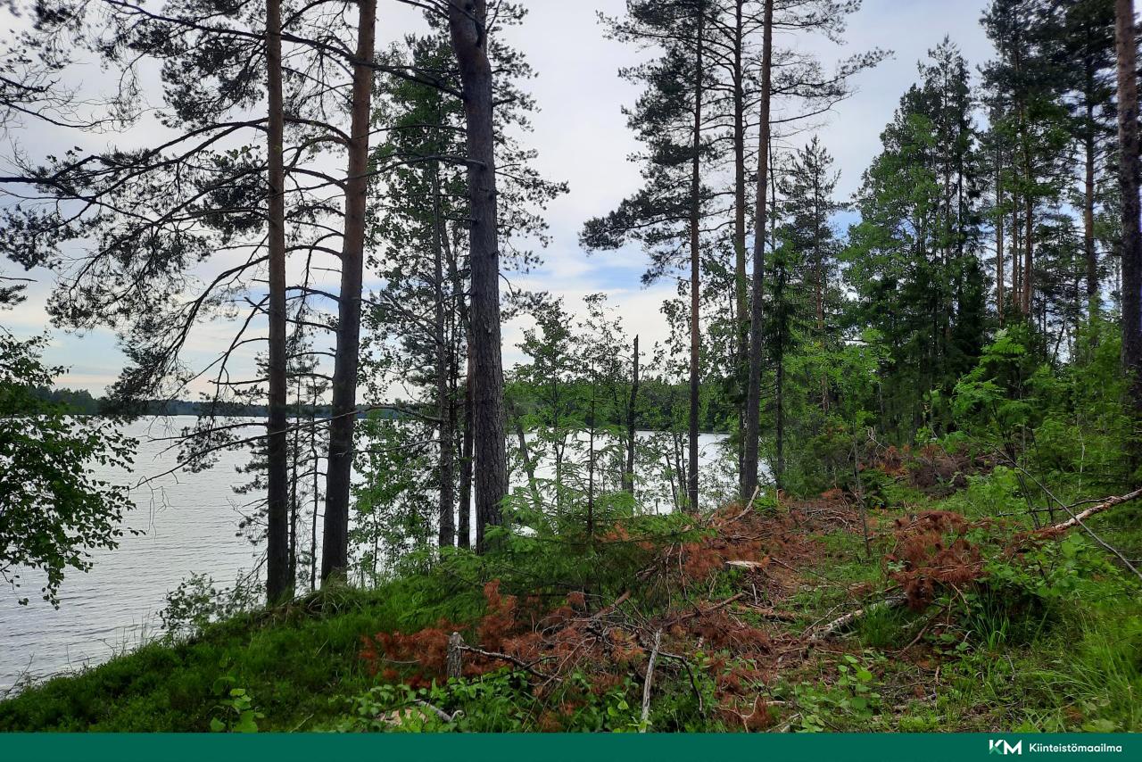 Nääringintie 368, Juva