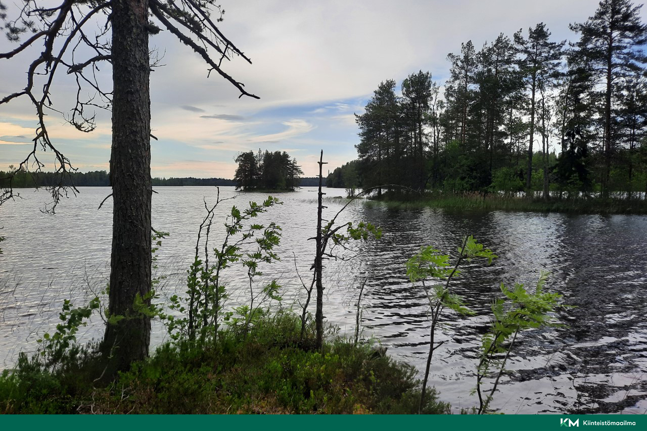 Nääringintie 368, Juva