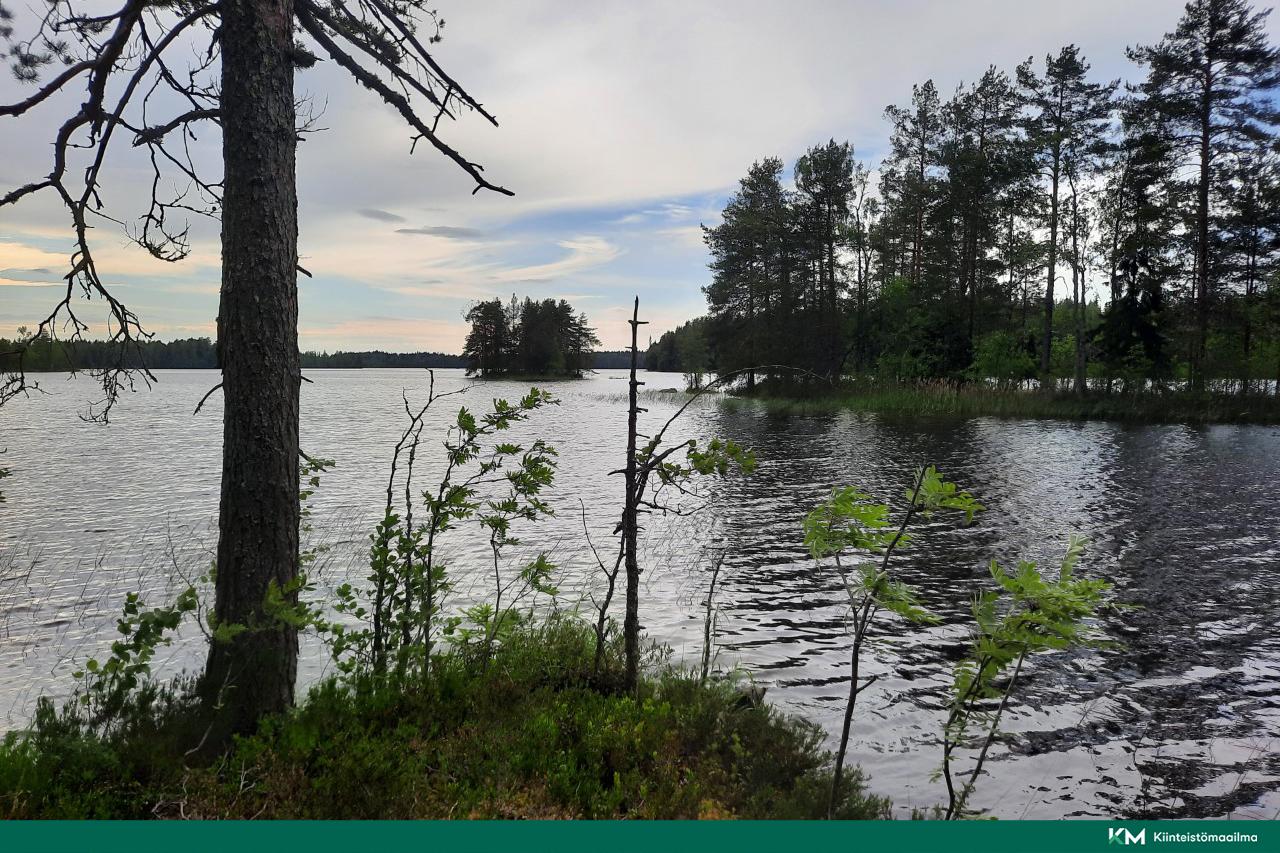 Nääringintie 368, Juva