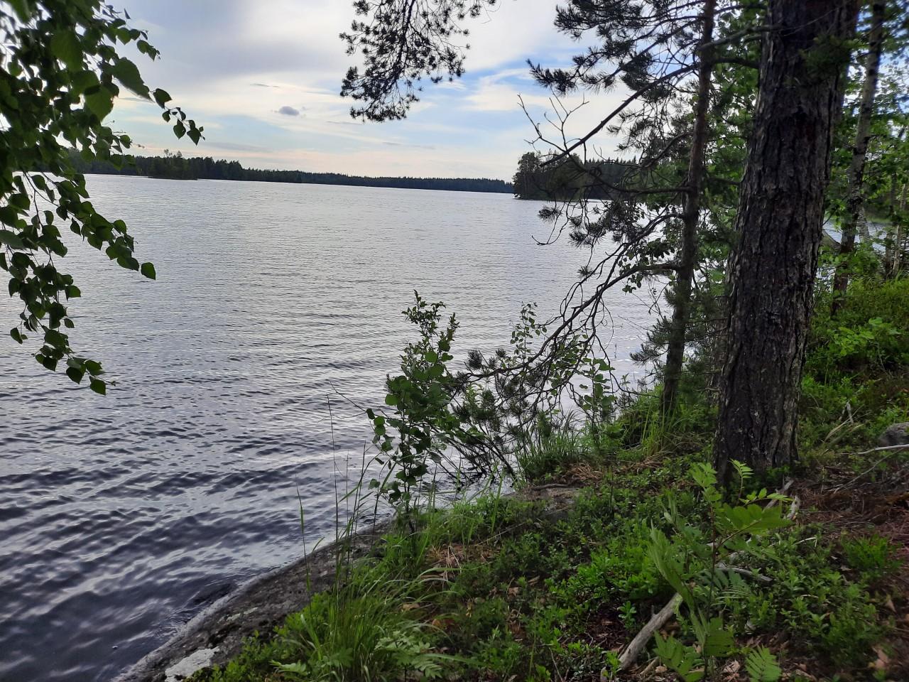 Nääringintie 368, Juva