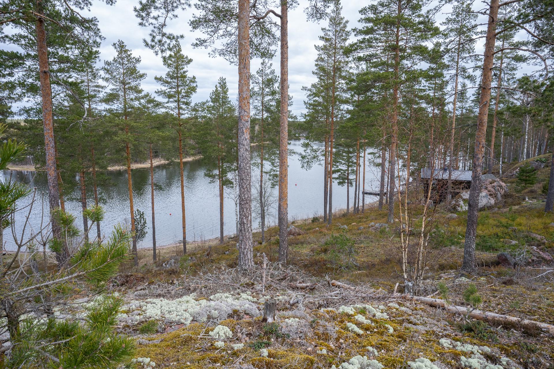 Näkymä vierasmökistä