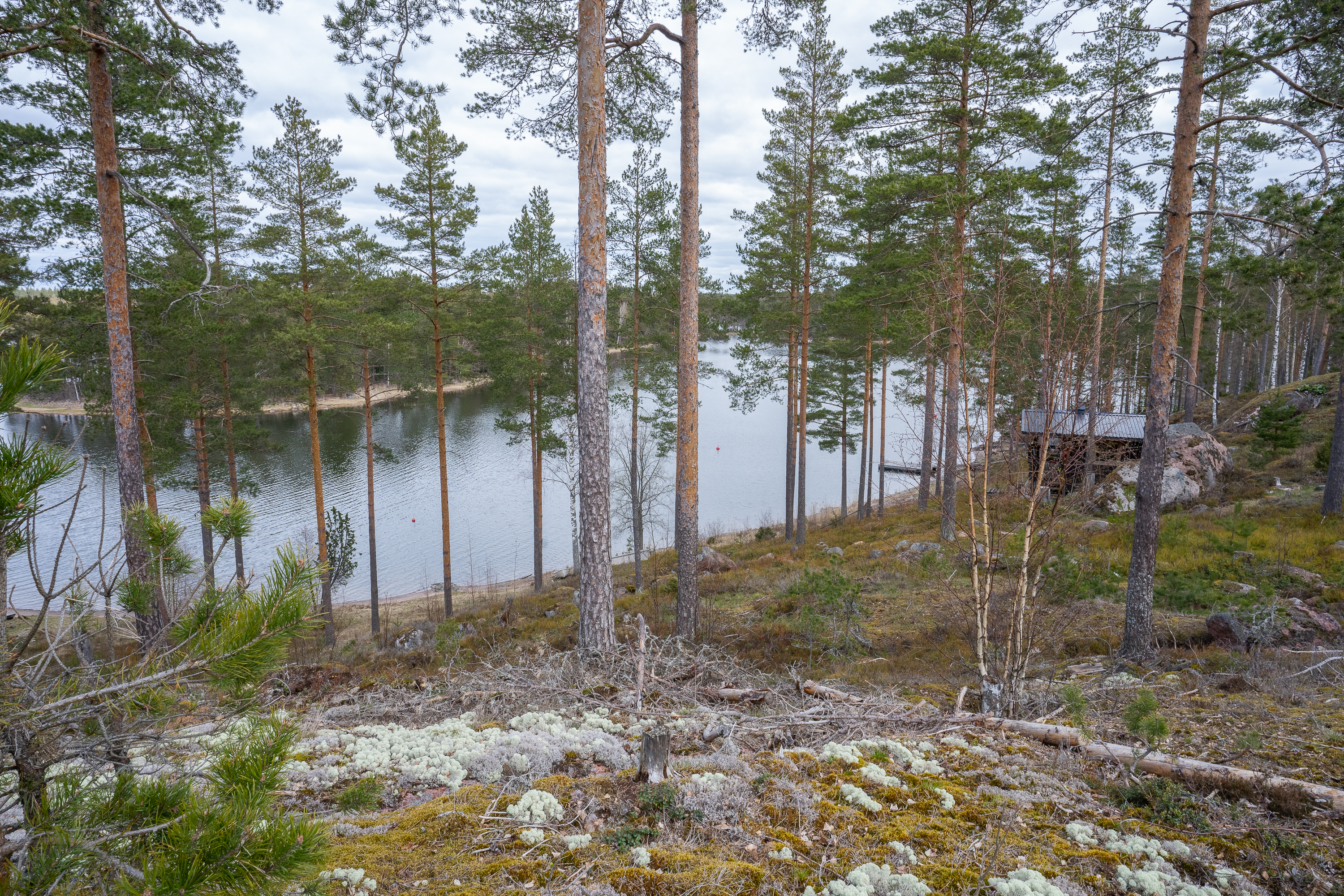 Näkymä vierasmökistä