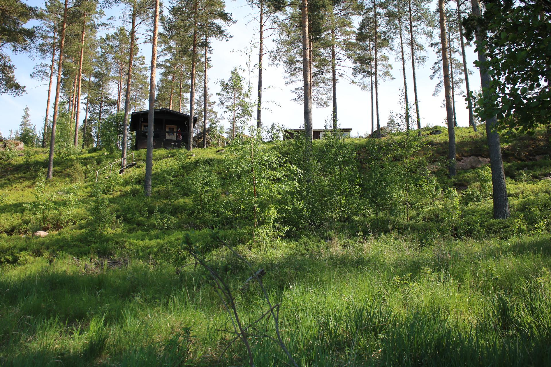 Rinnetontti kesällä